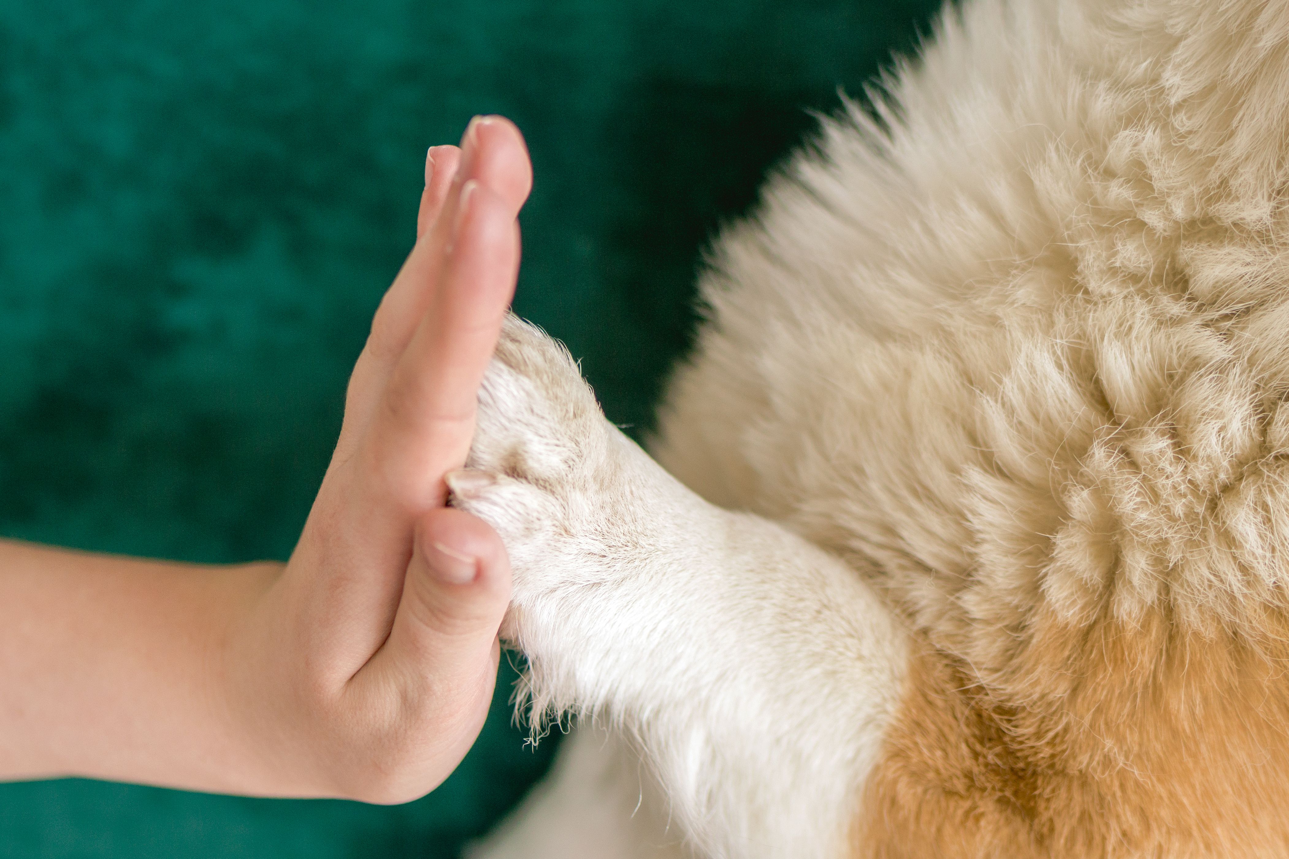 exclusive partnerships