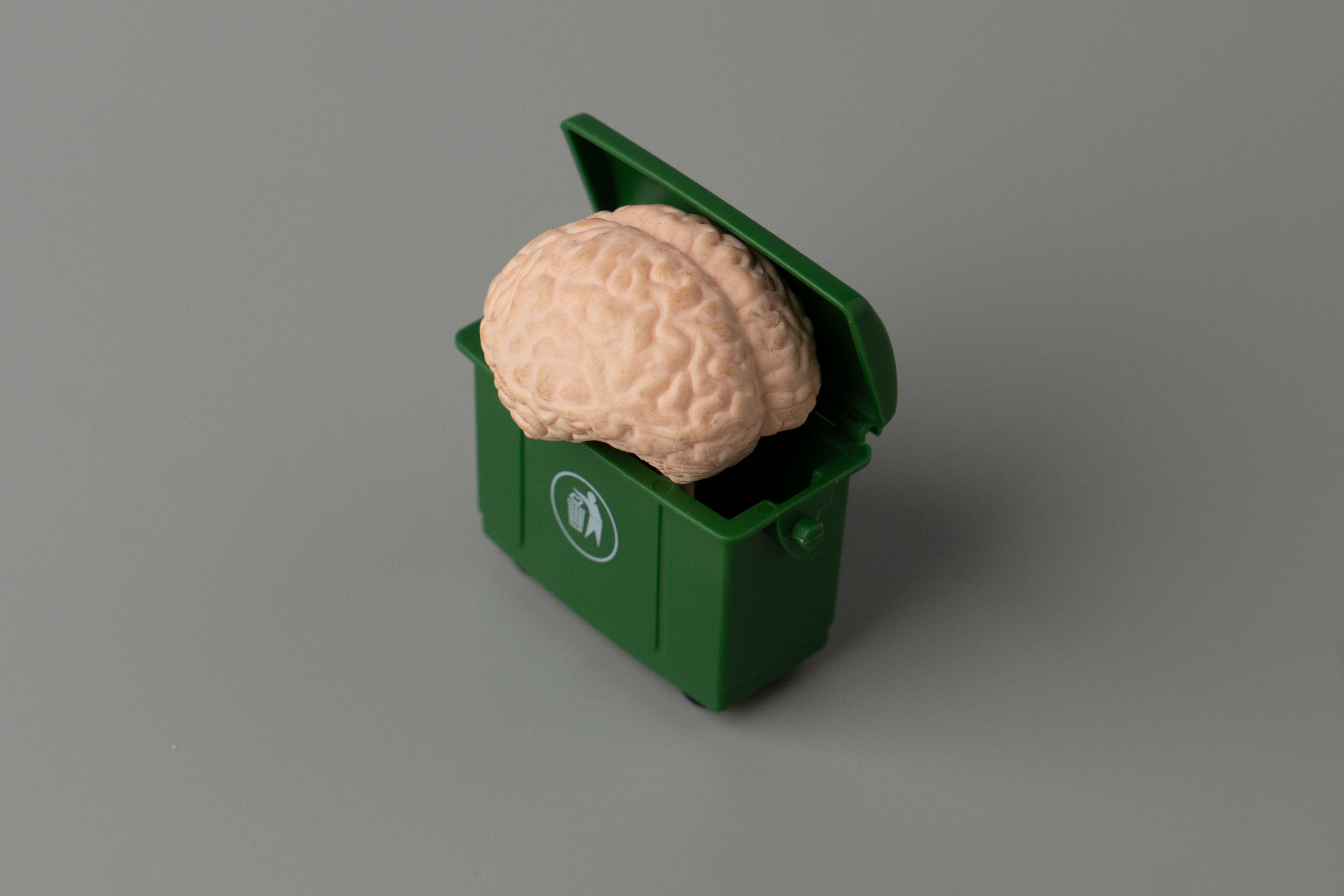 waste management education