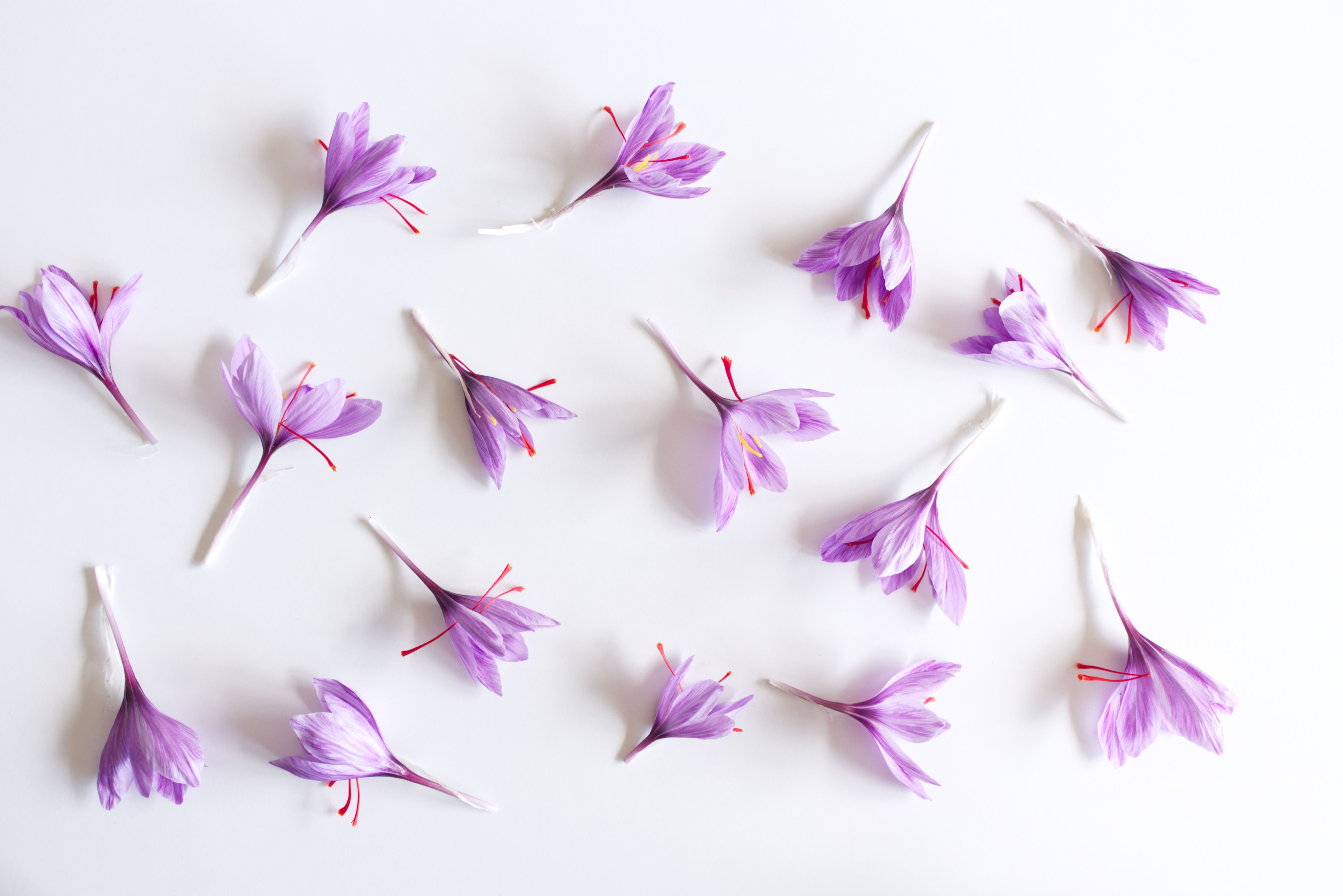 saffron threads