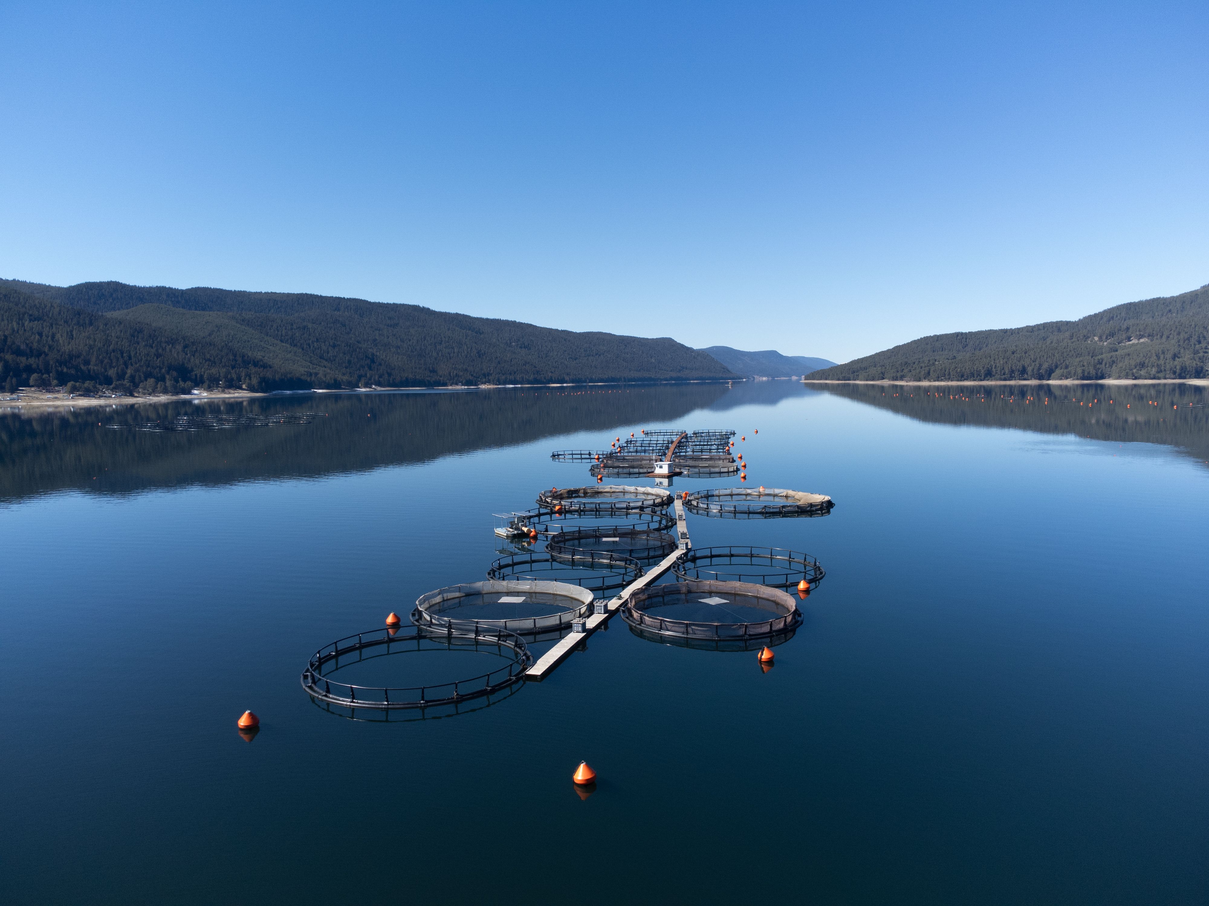 seafood sustainability
