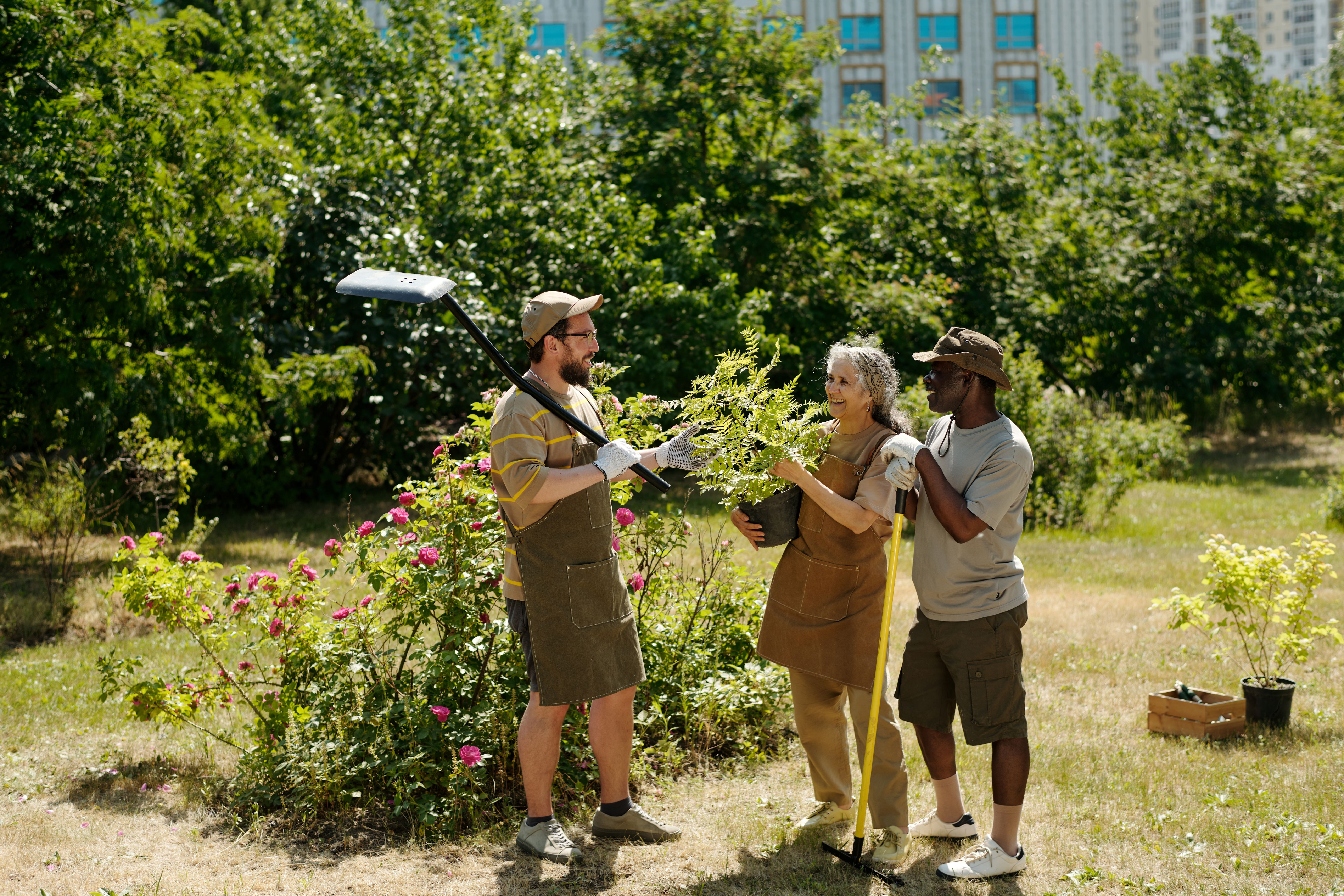 yard maintenance team