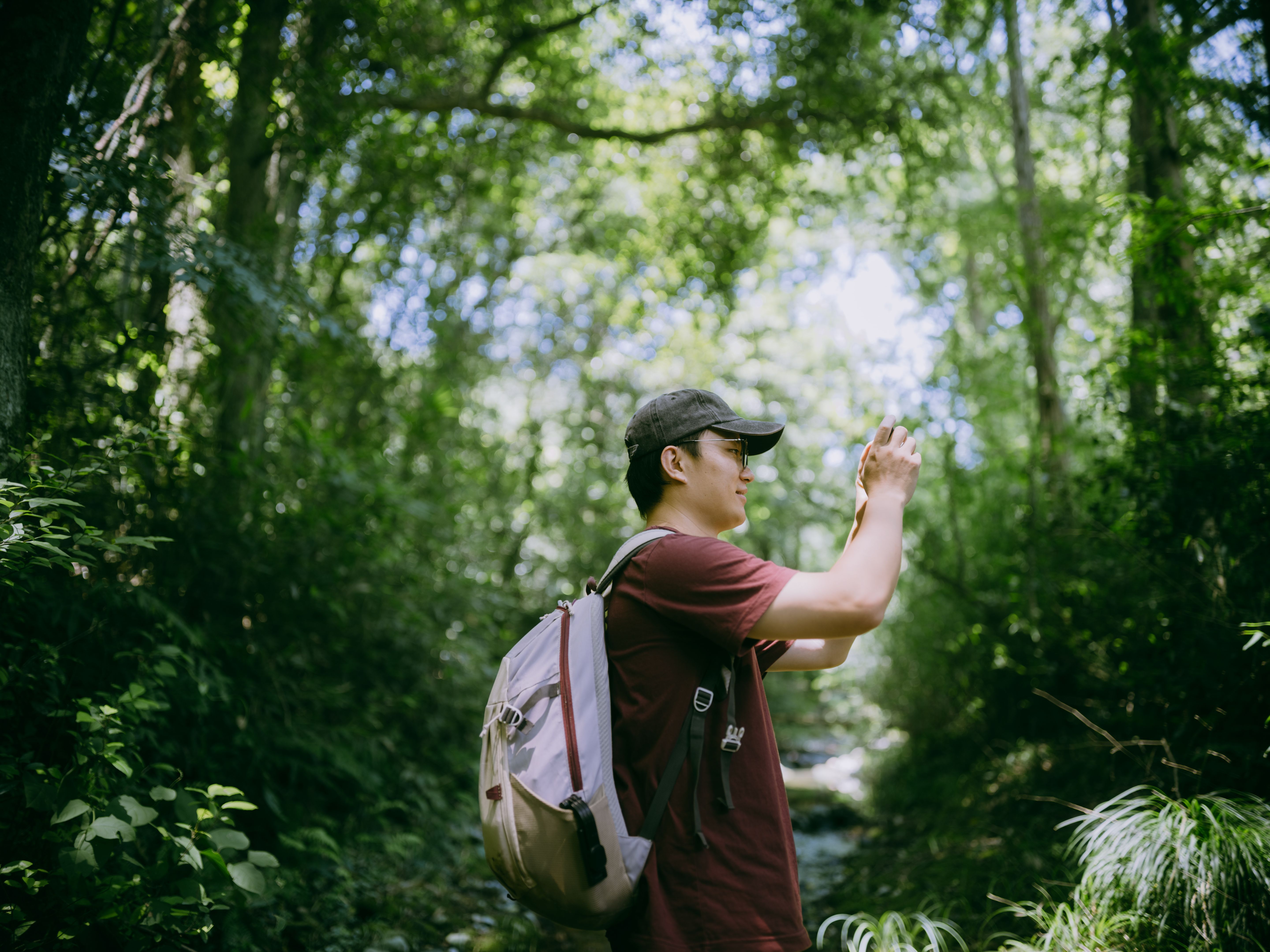 sustainability insurance