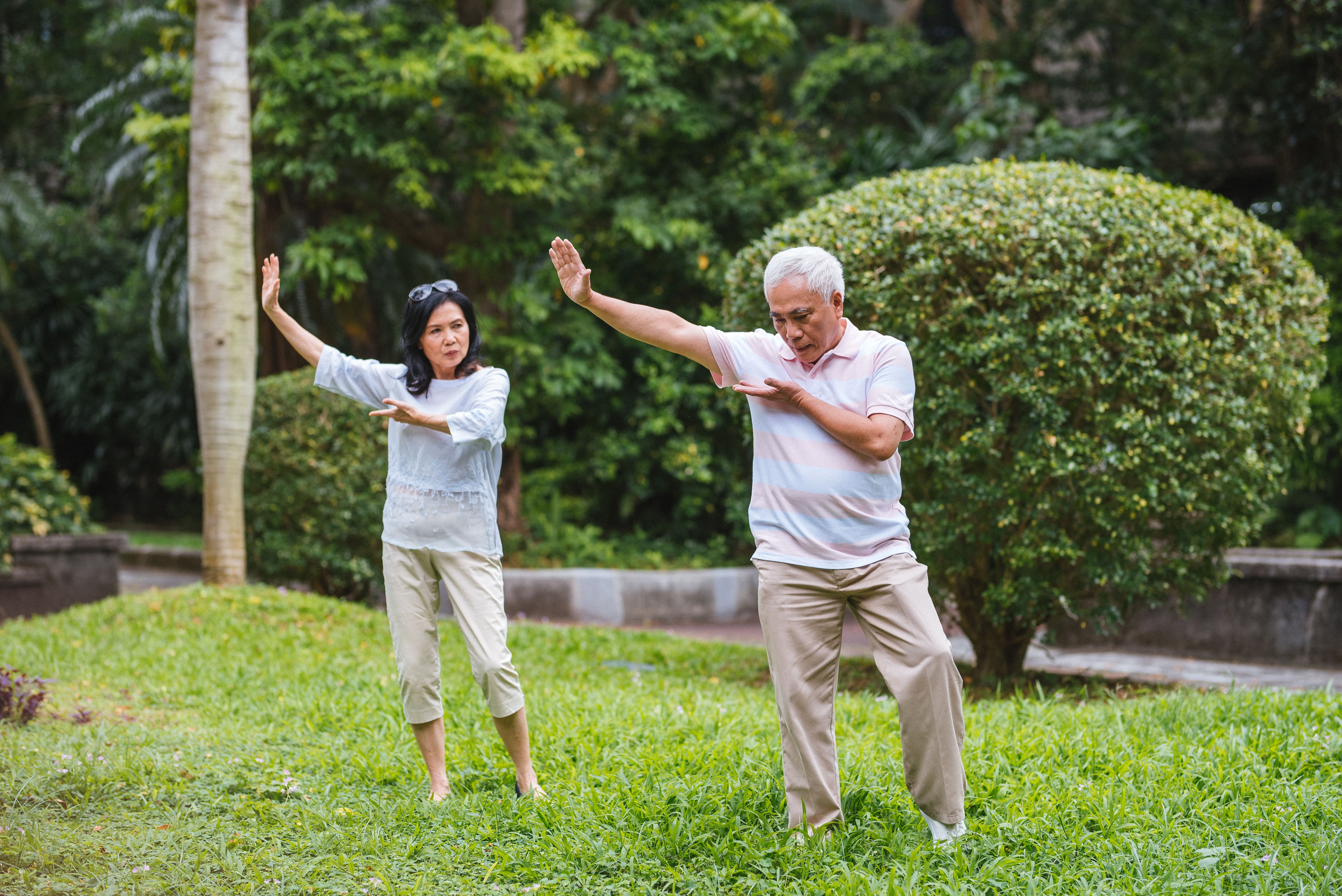 tai chi class