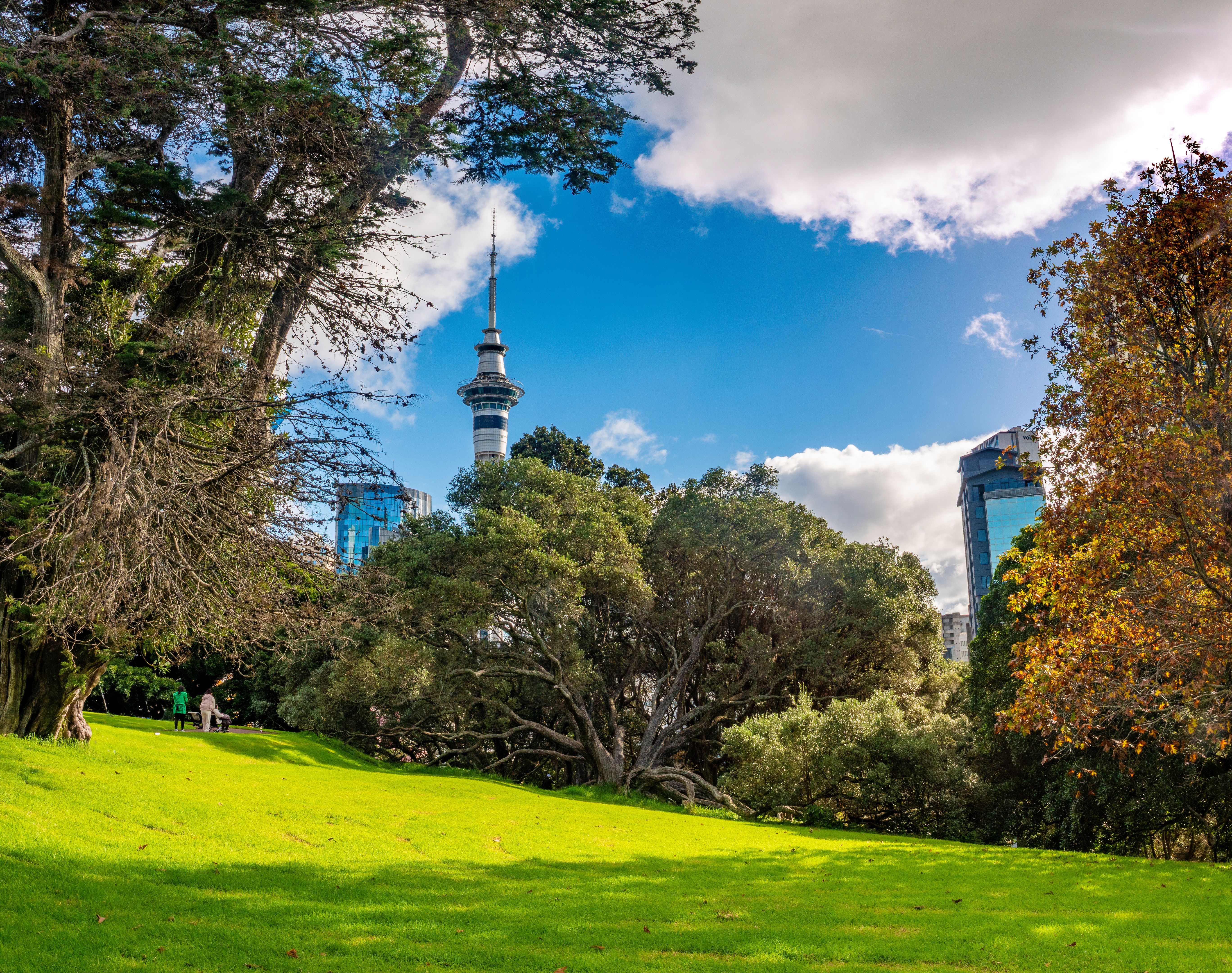 auckland travel guide
