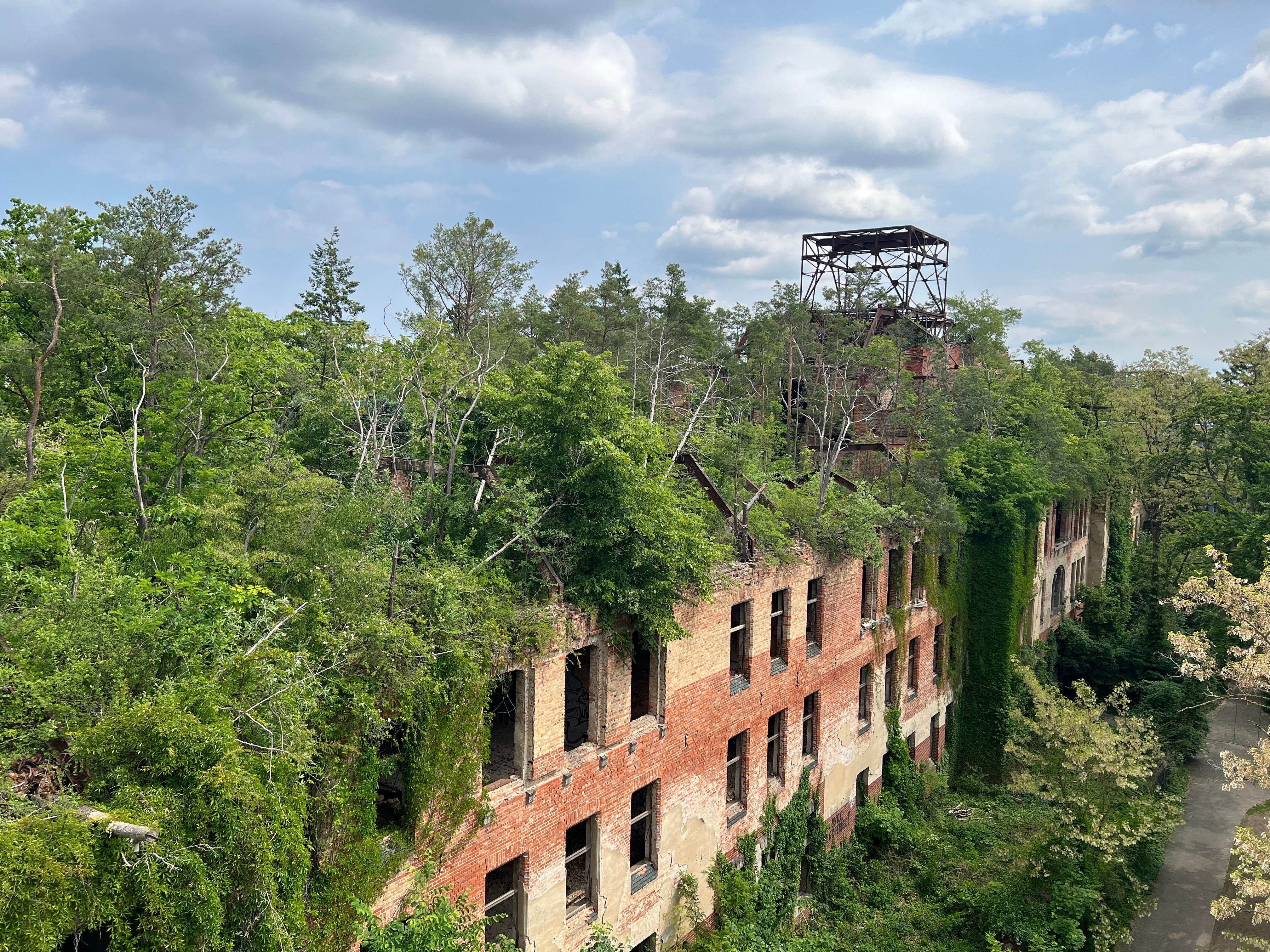 hospital environment