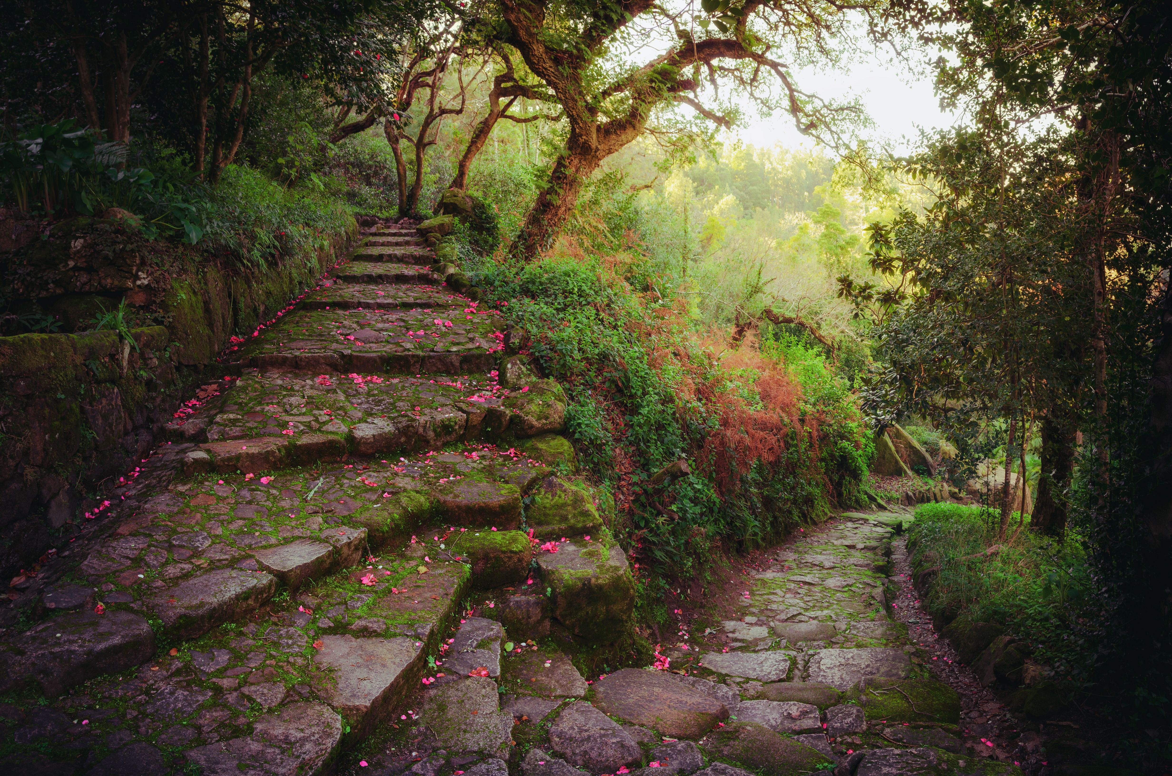 sintra path