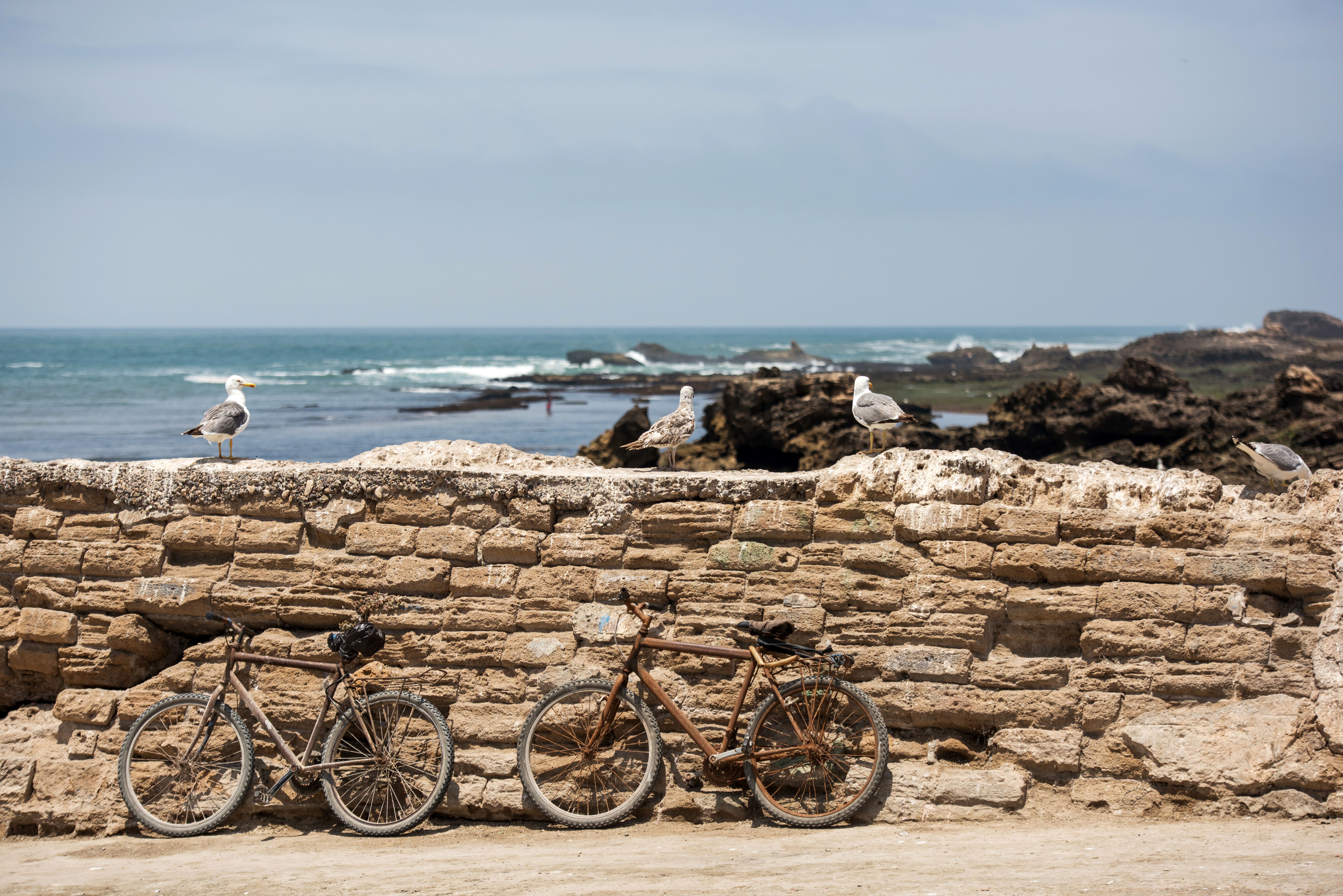 essaouira bicycle rental