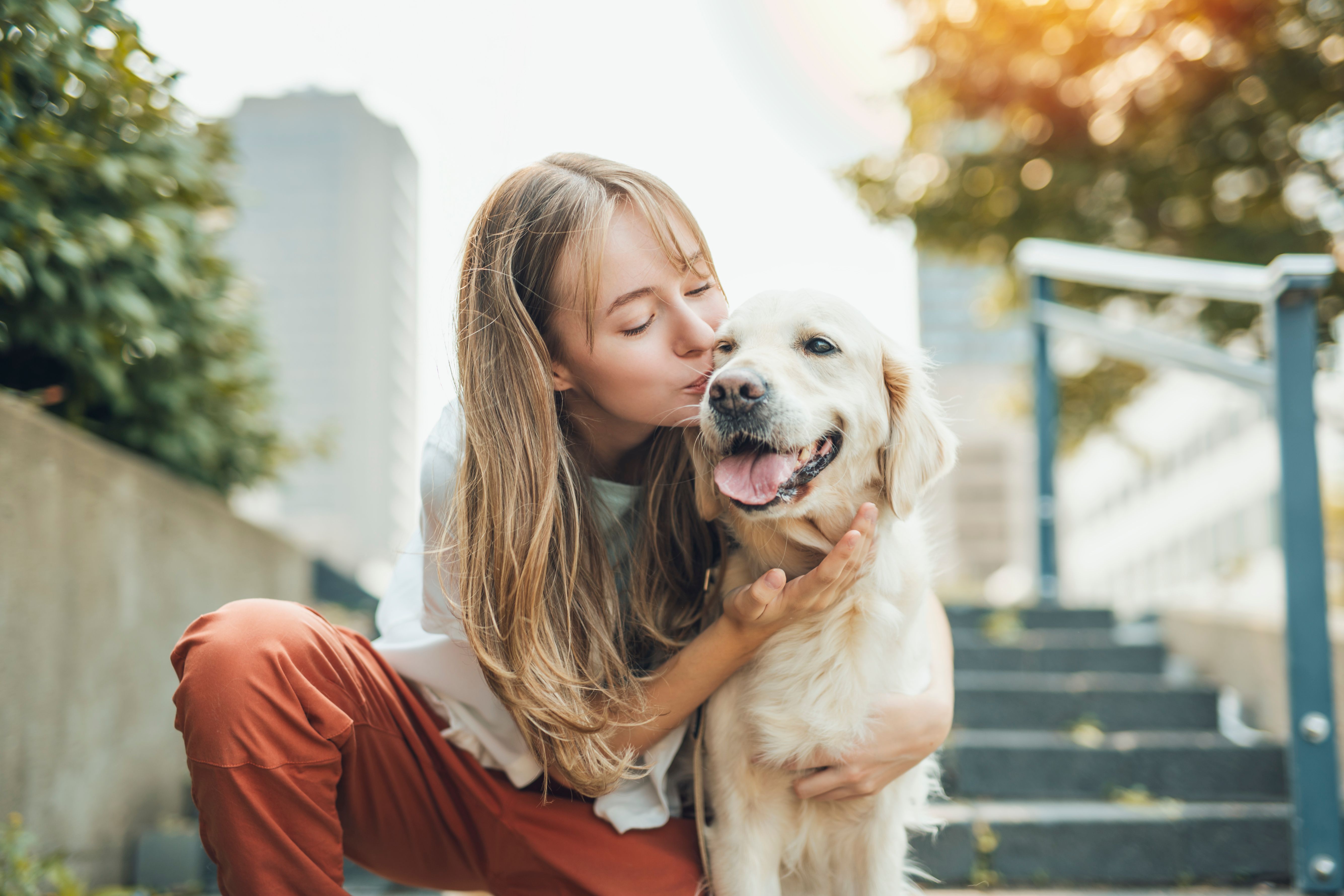 outdoor activities with pets