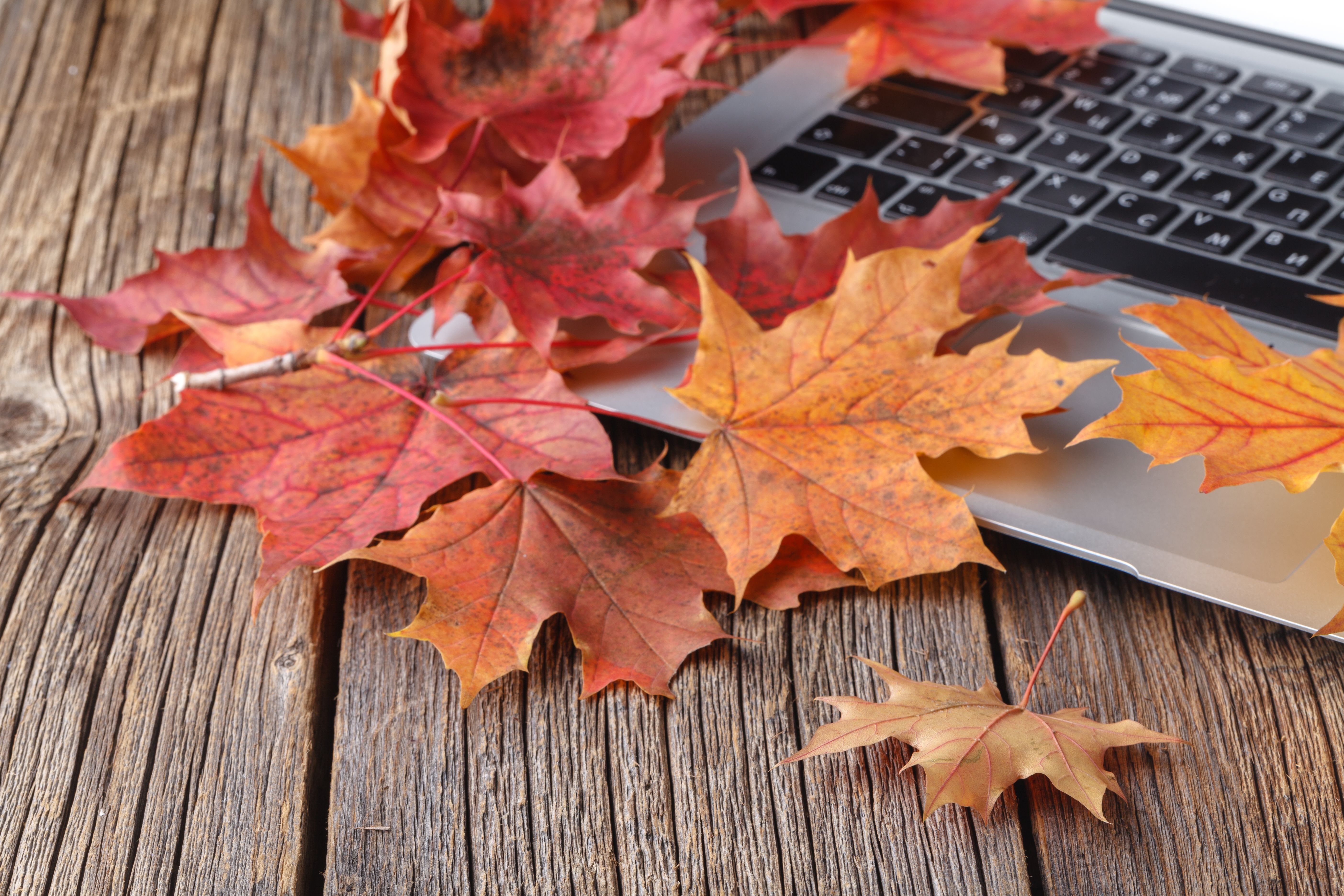 fall office maintenance