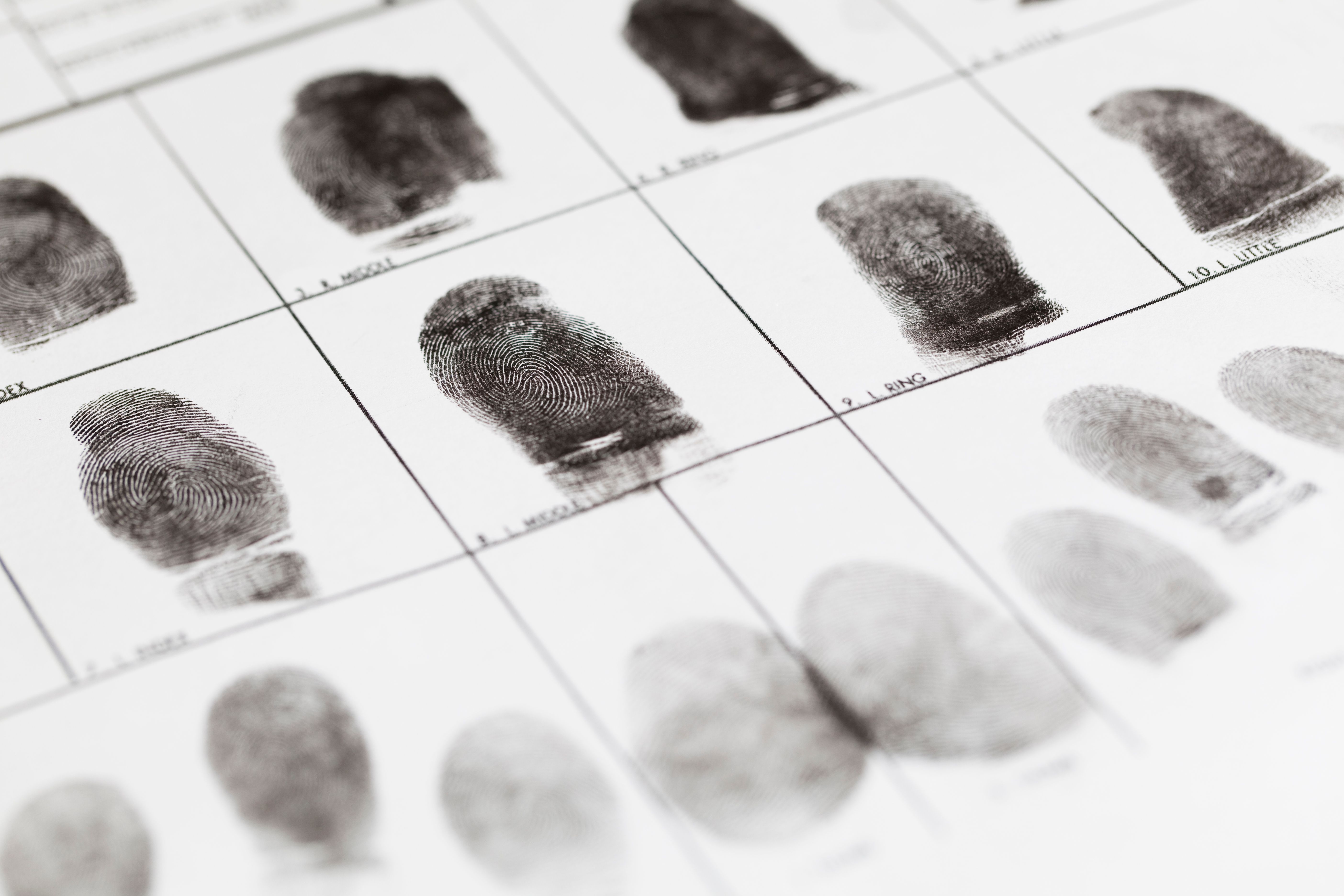 law enforcement fingerprinting