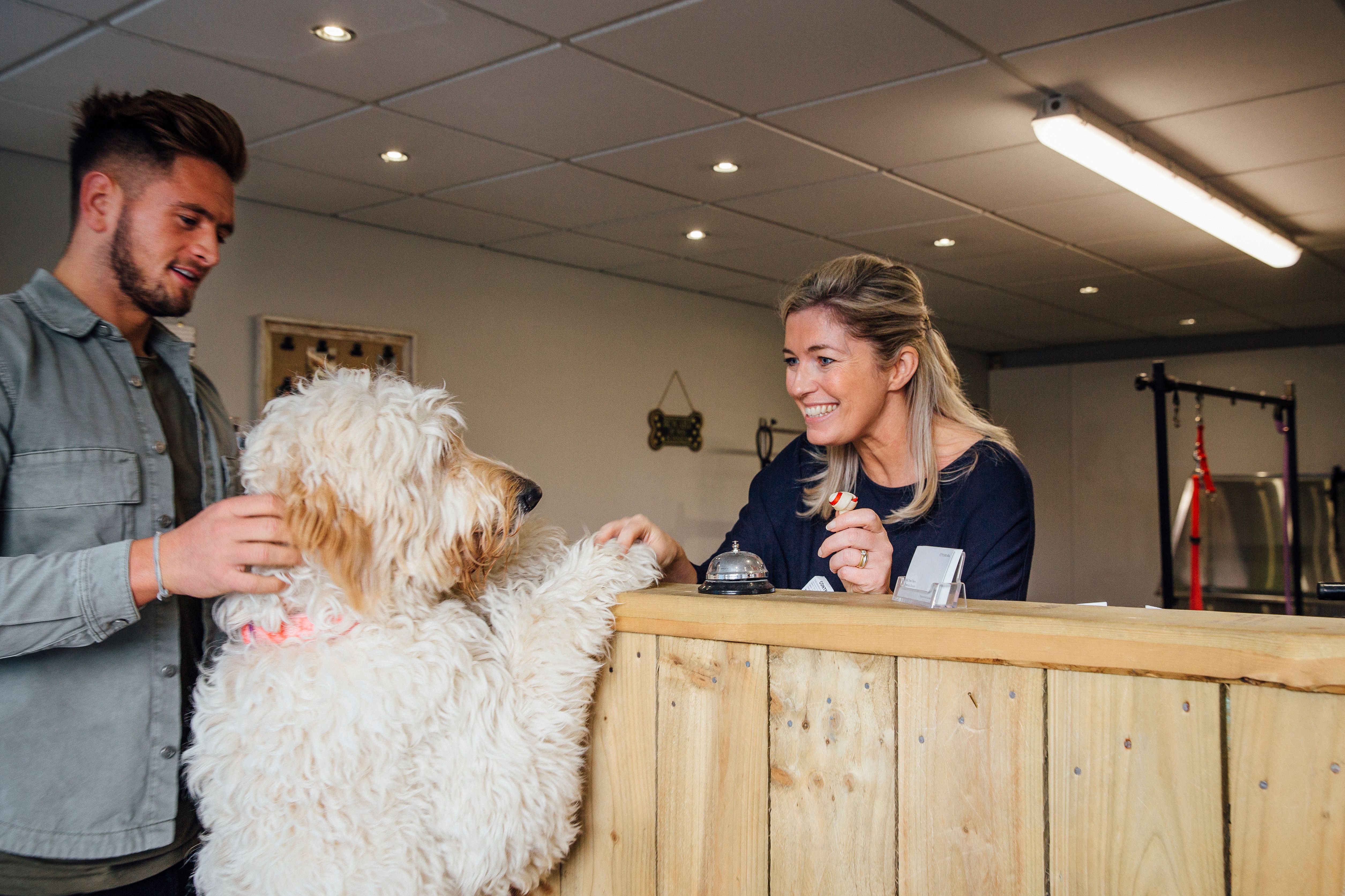 pet friendly hotel lobby