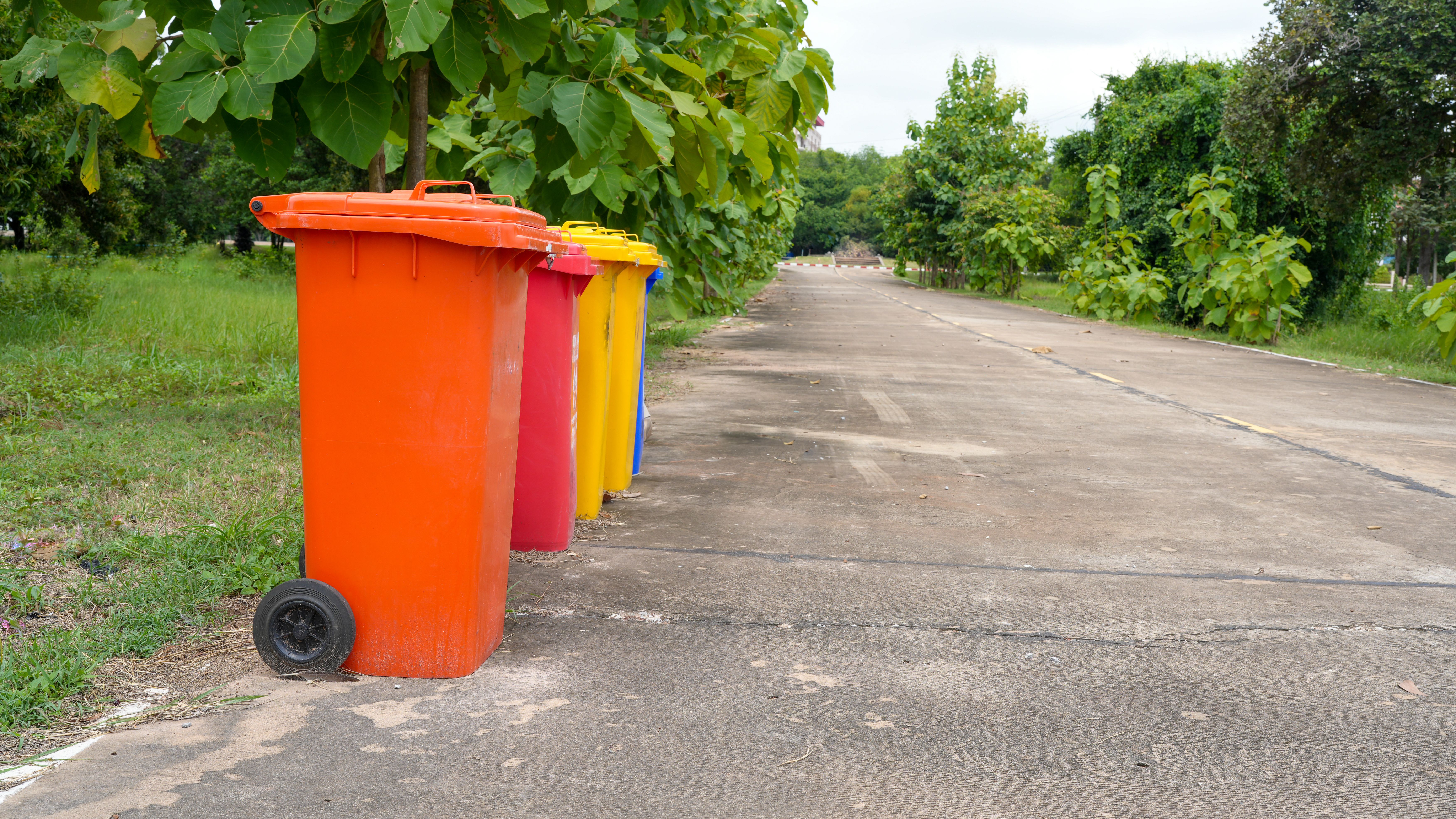 eco friendly disposal