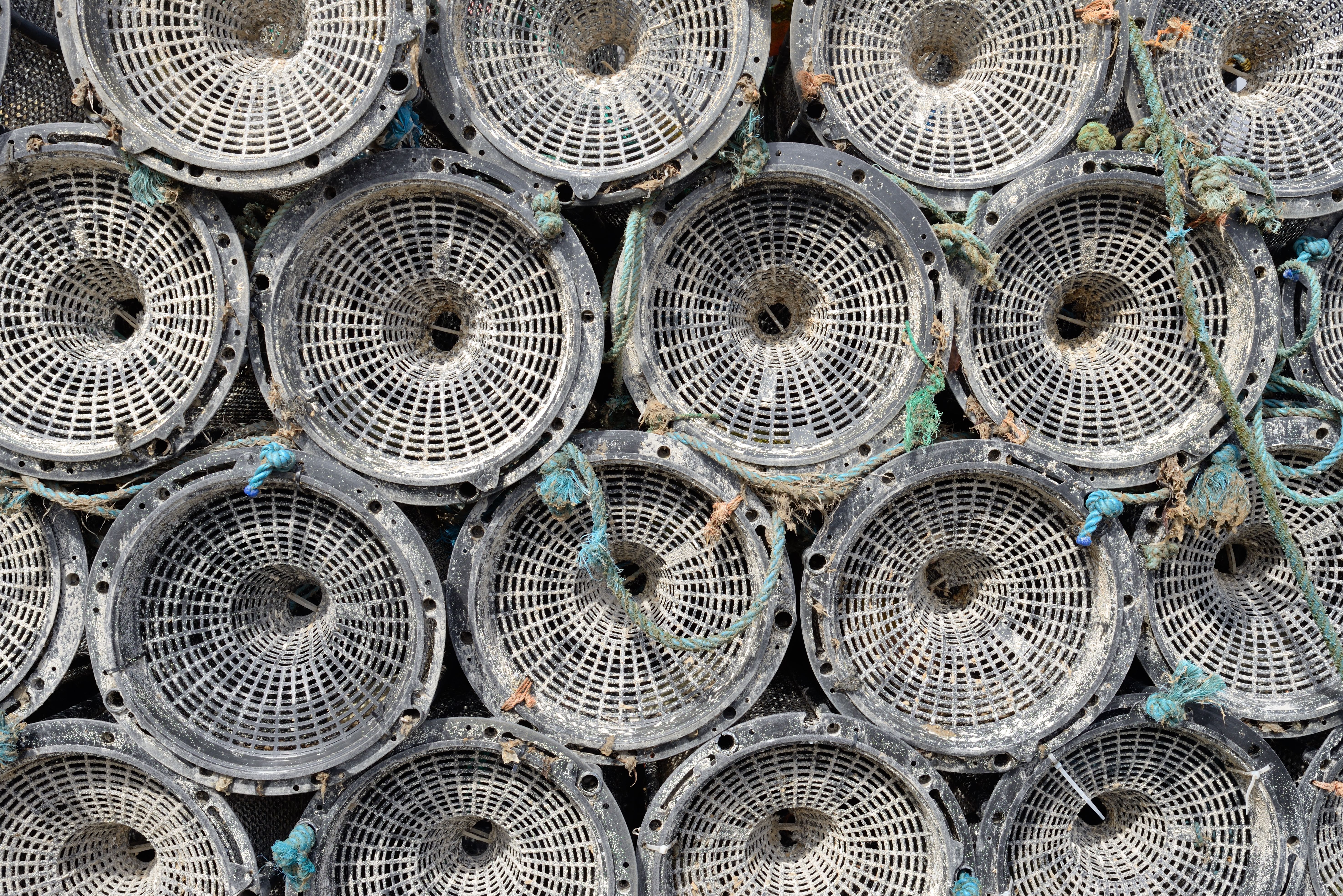 Fish Traps Fish Traps