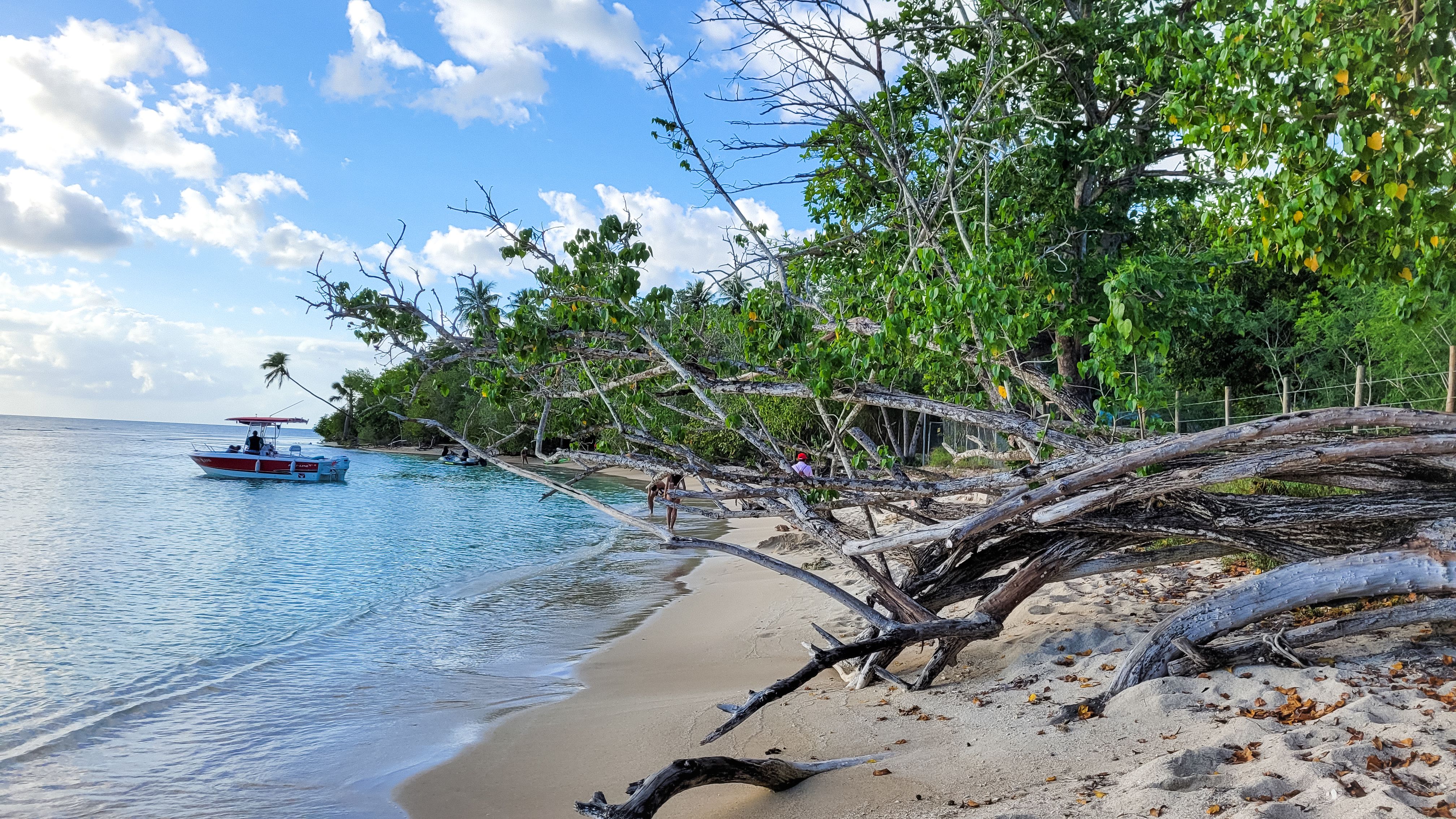 puerto rico coastline