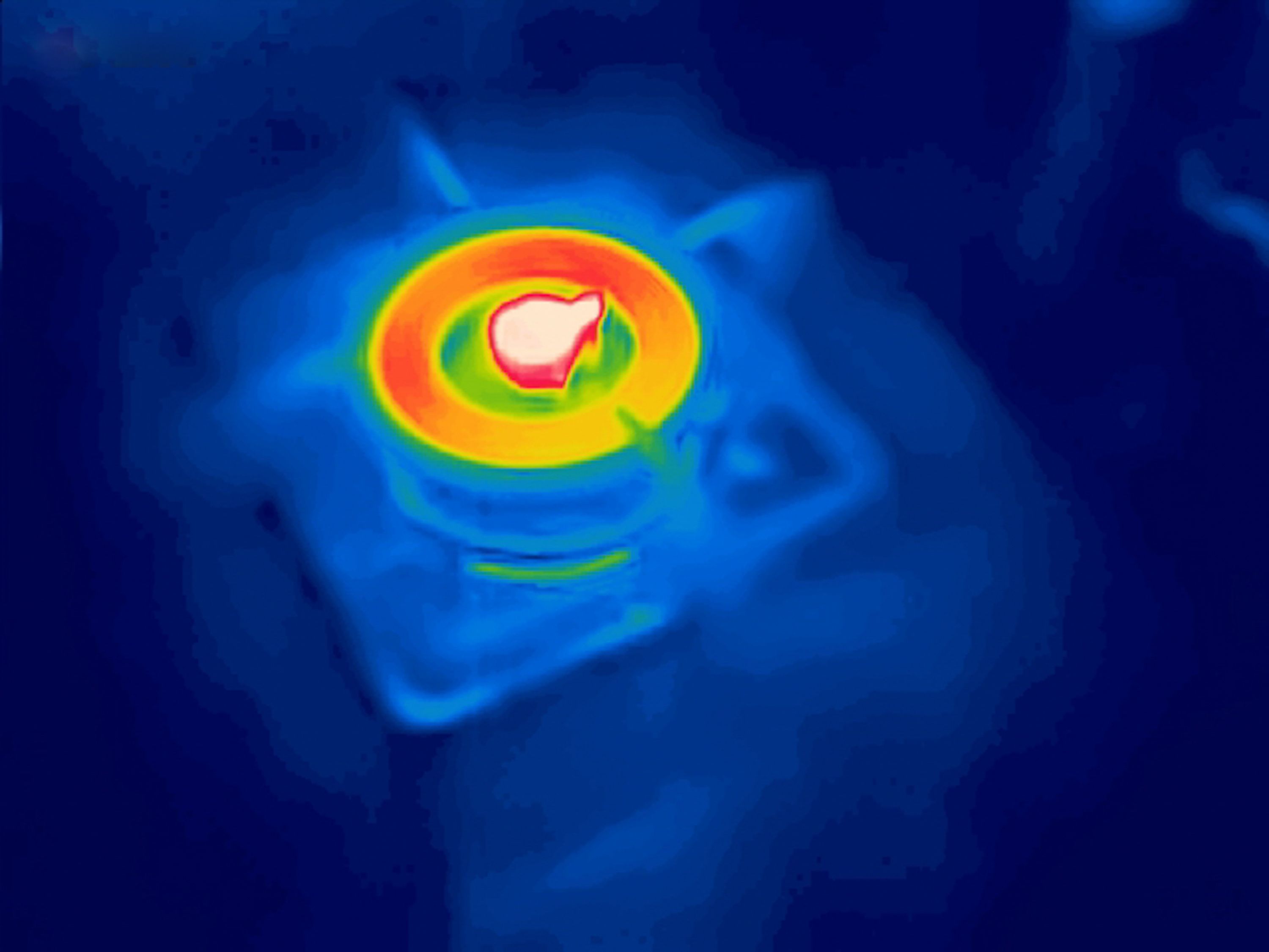 thermal camera inspection
