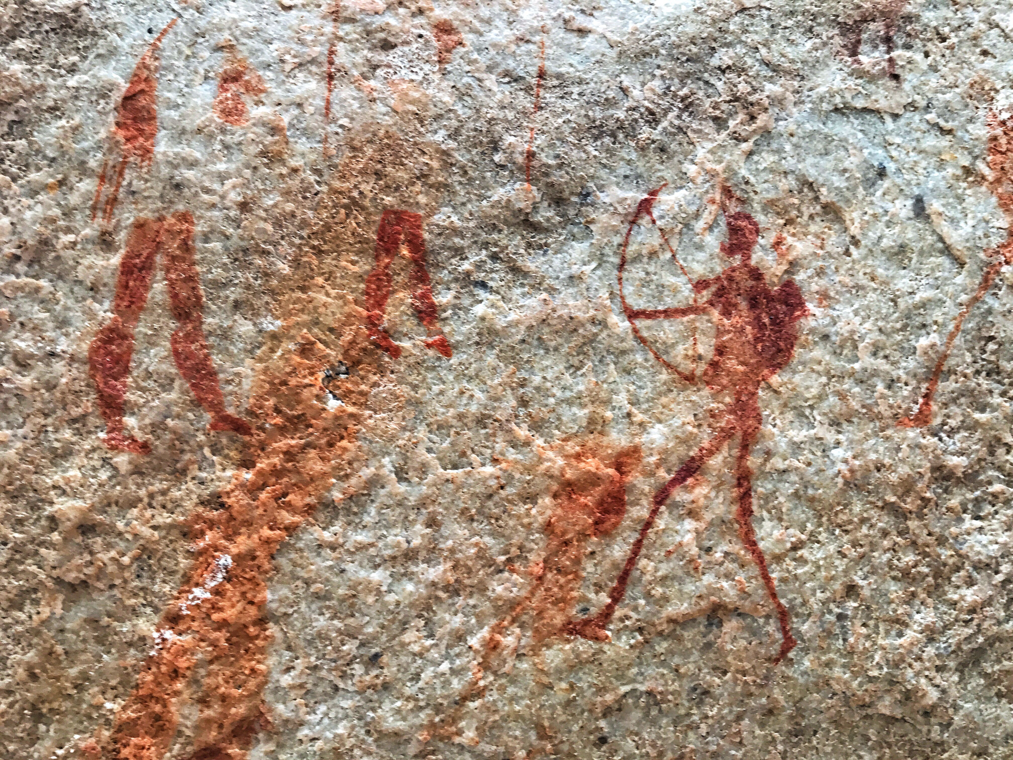 Bushman cave paintings in the Cederberg mountains,south Africa