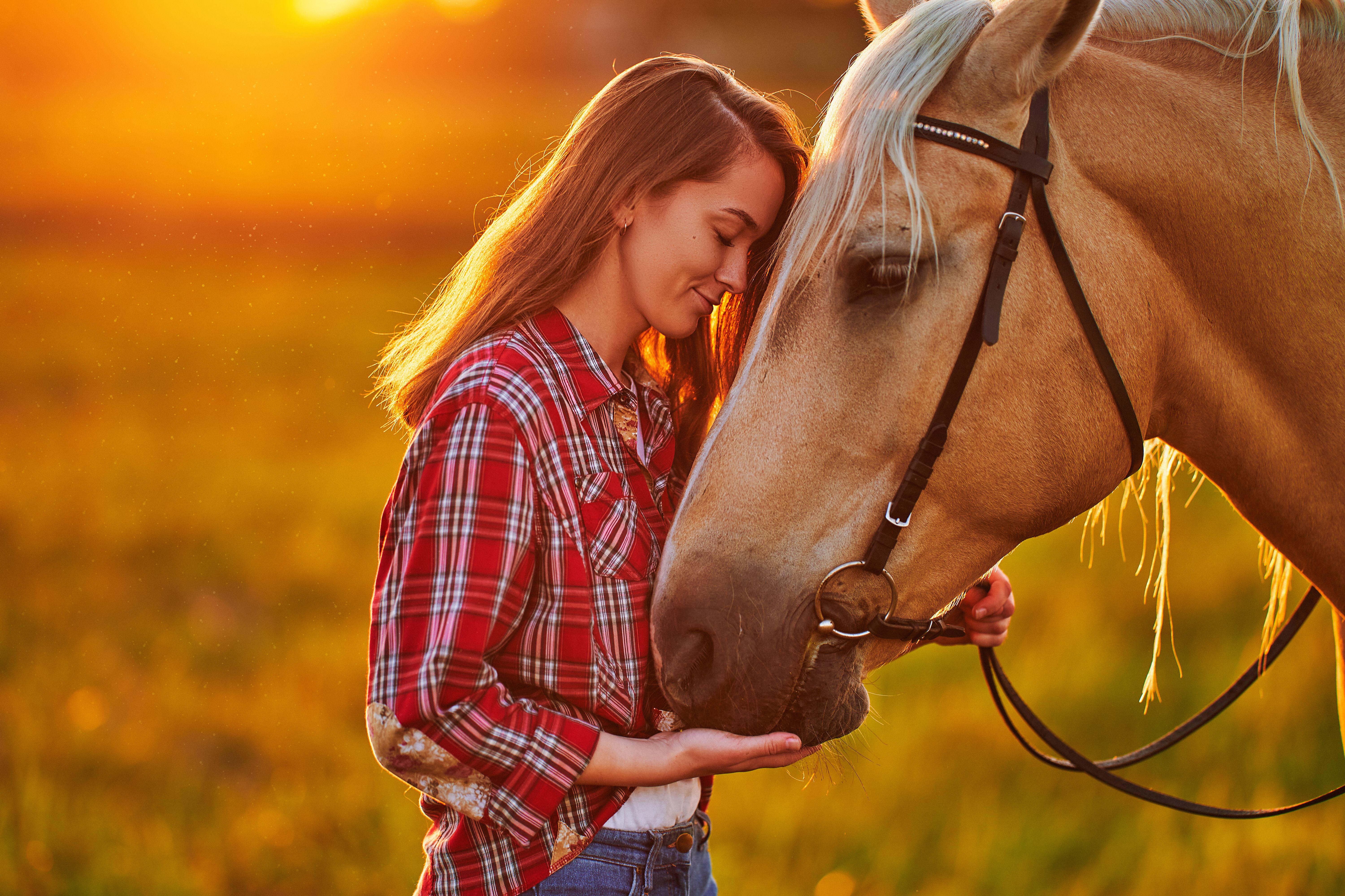 sunset horseback