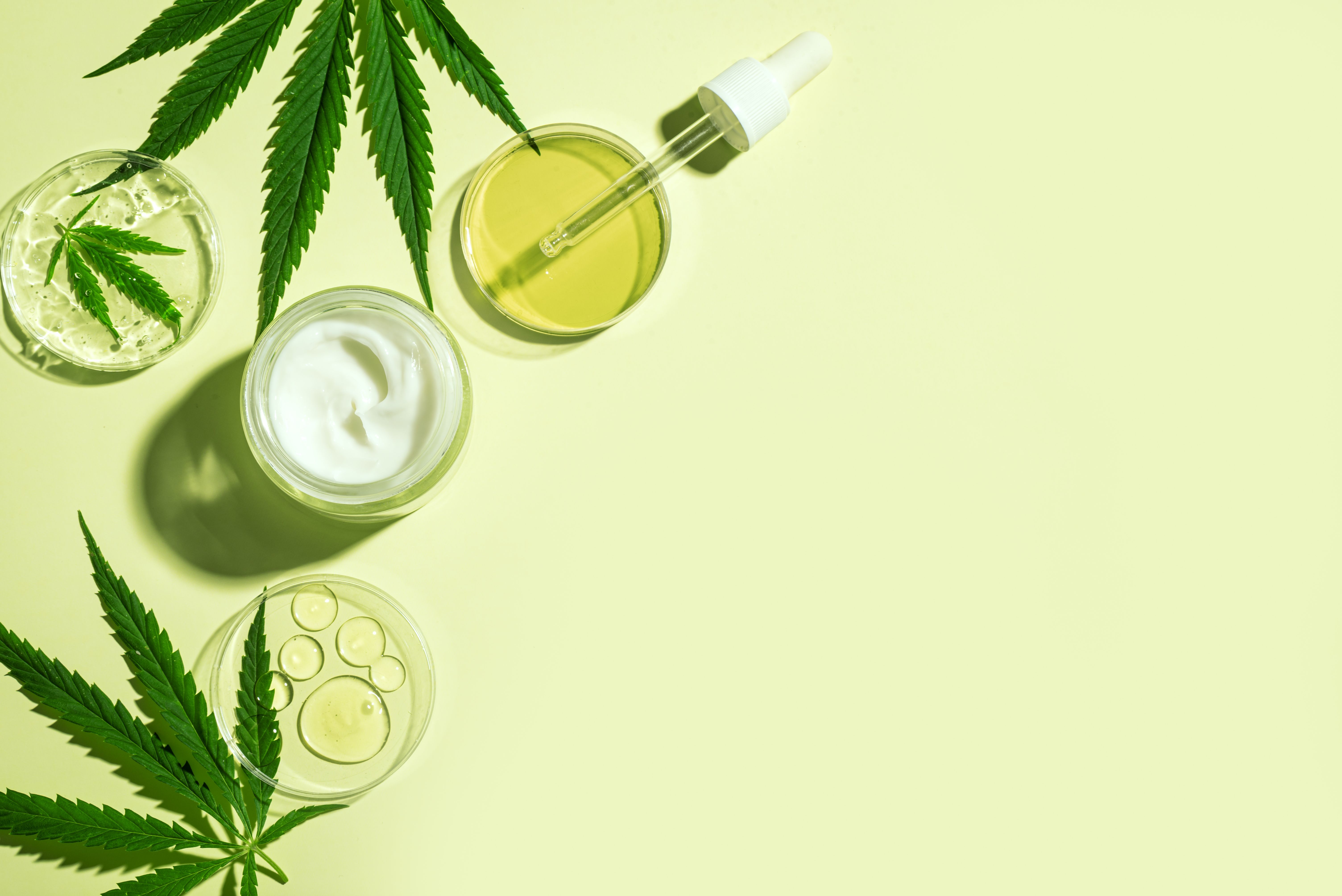 cbd oil