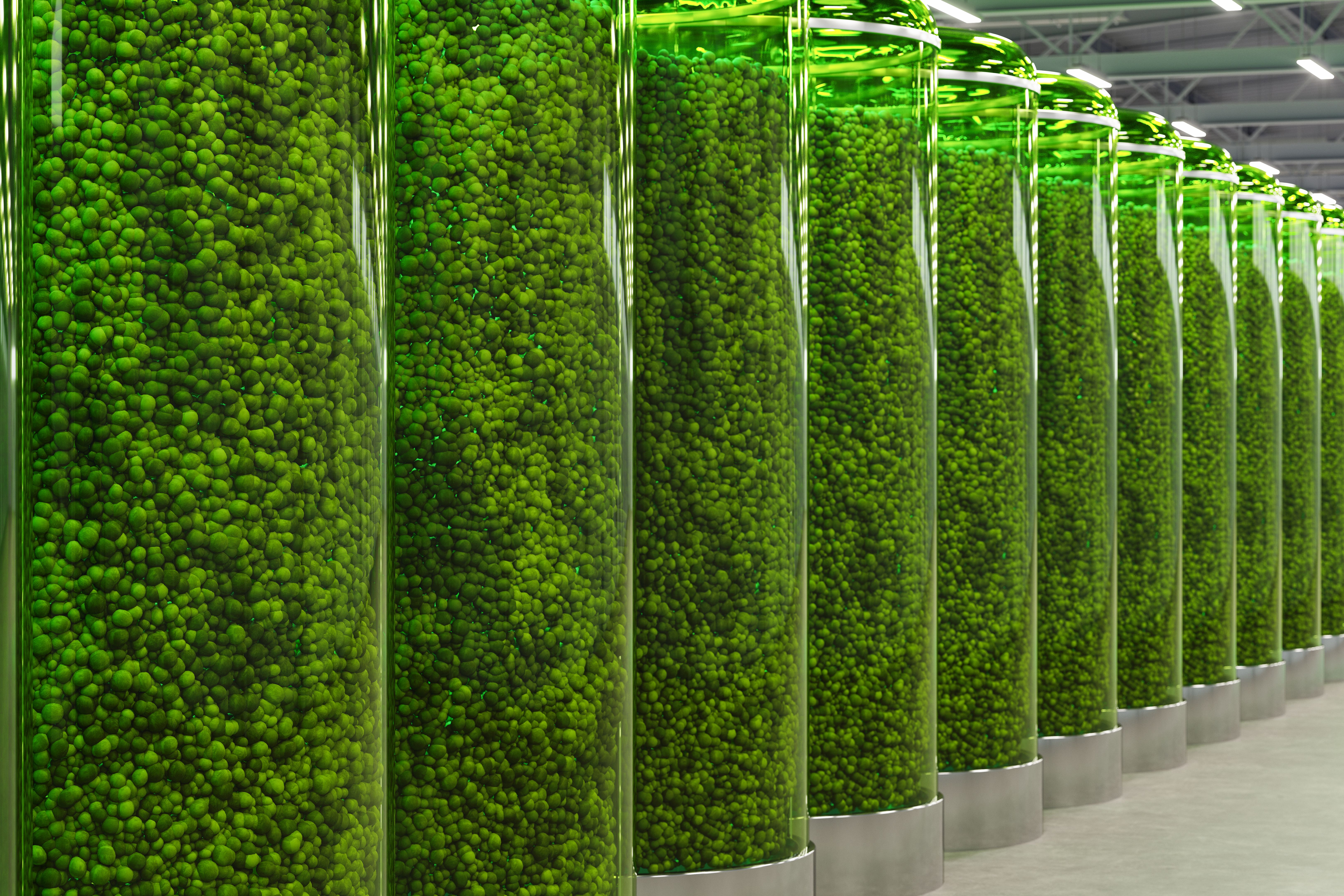 co2 extraction process