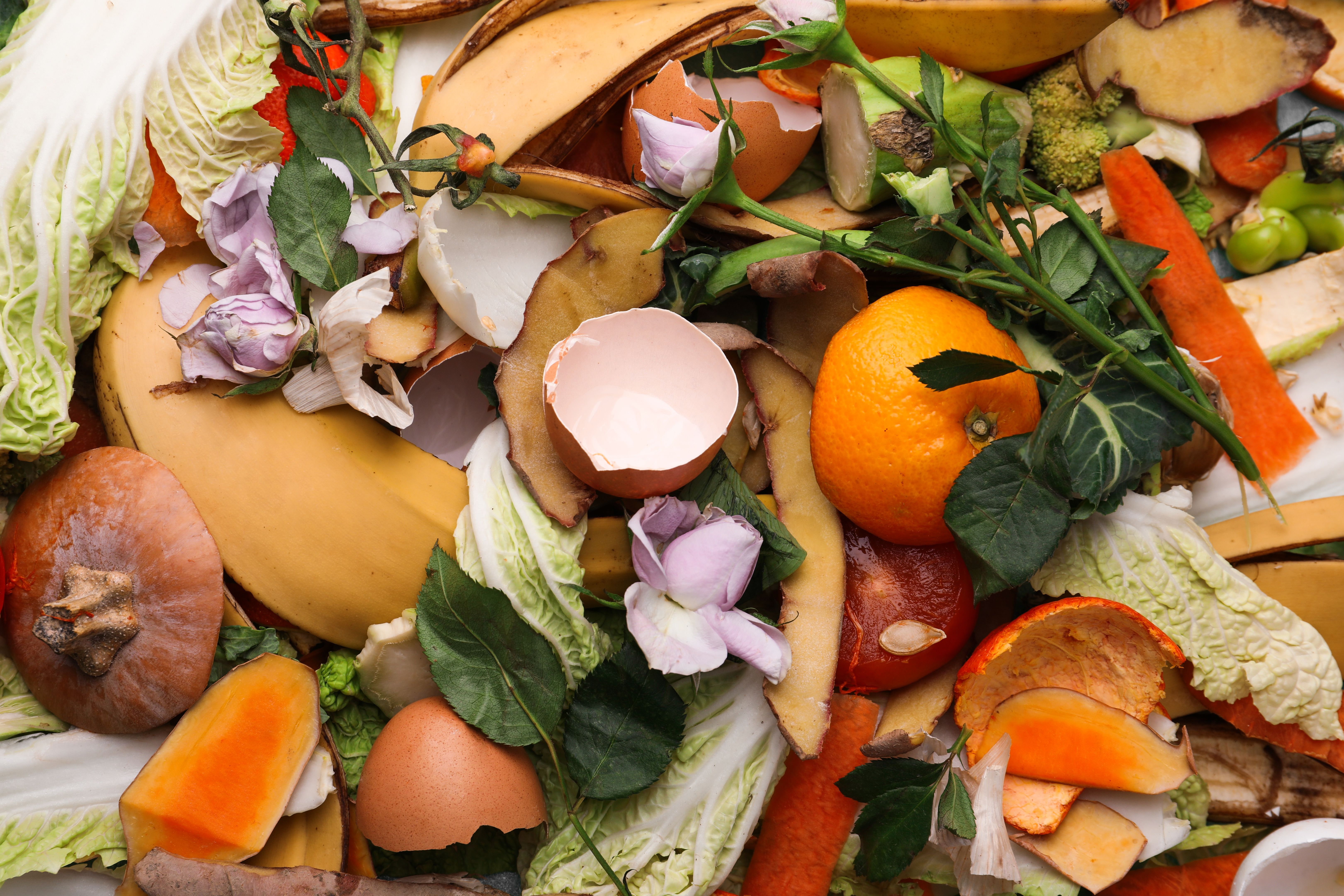 food waste reduction