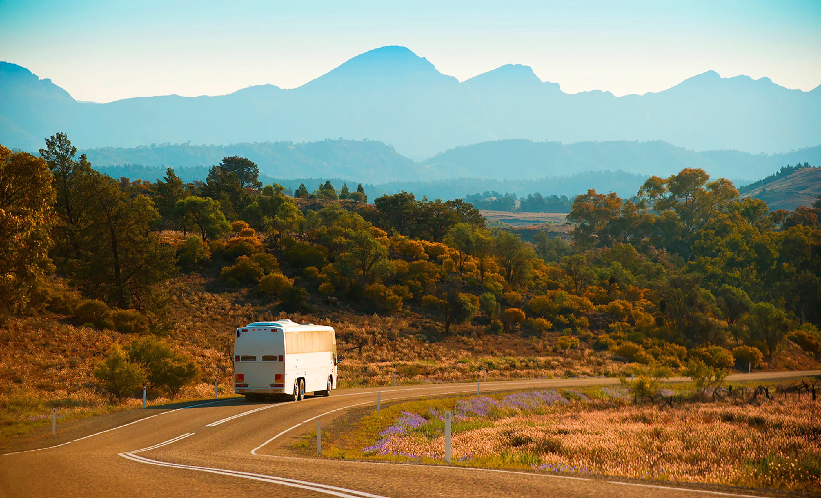 australian bus travel
