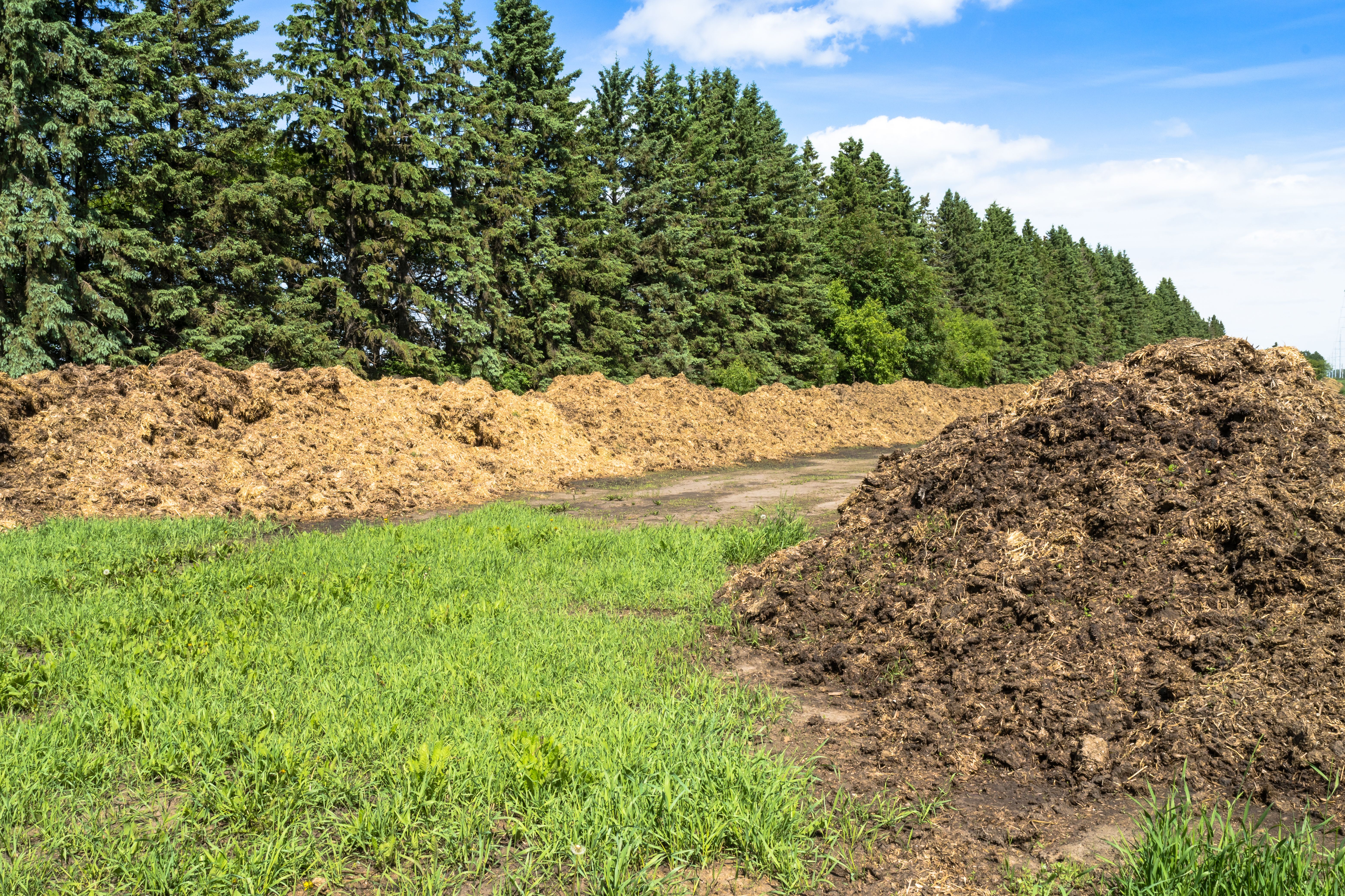 manure management