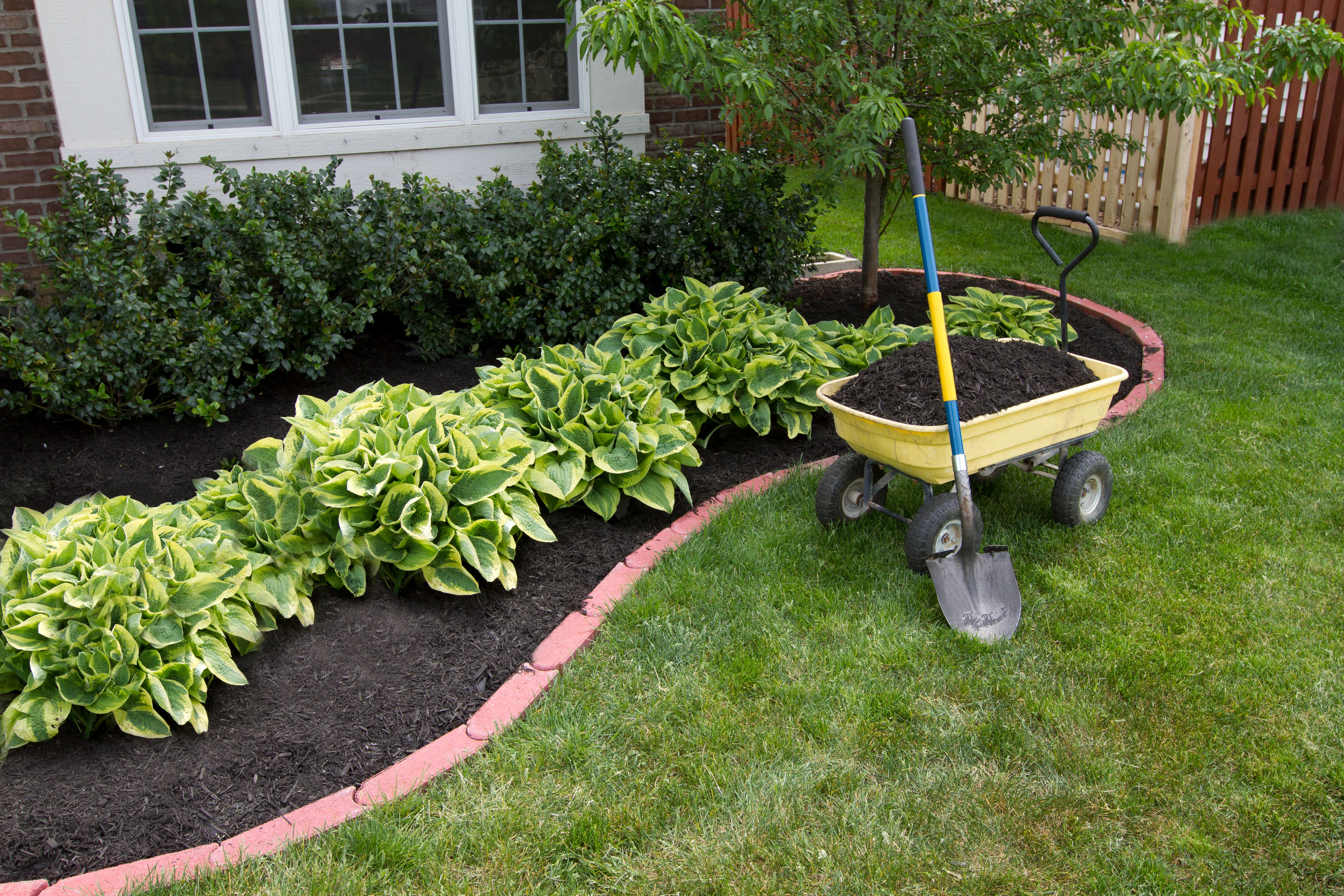 mulch ground cover