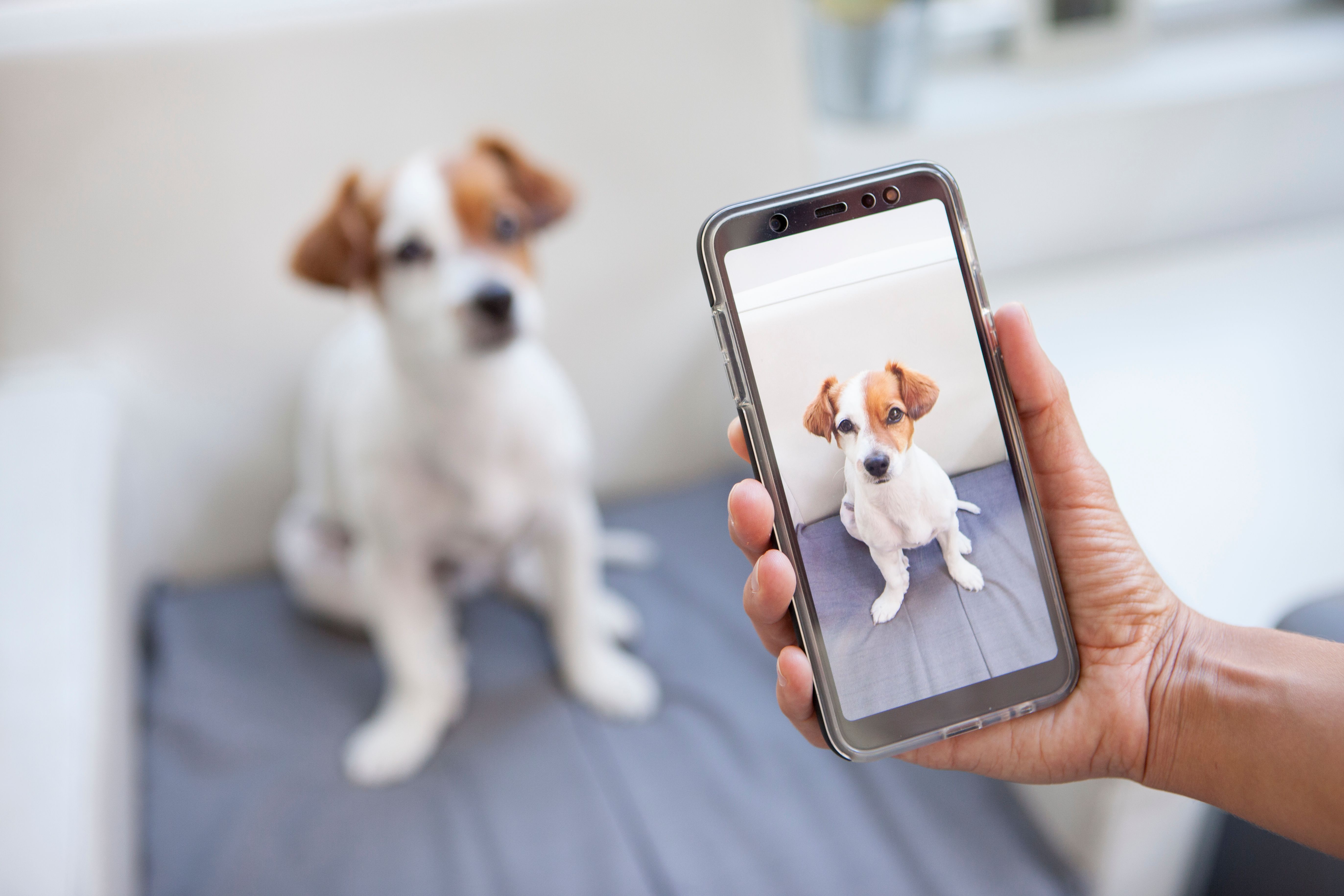 smartphone photography