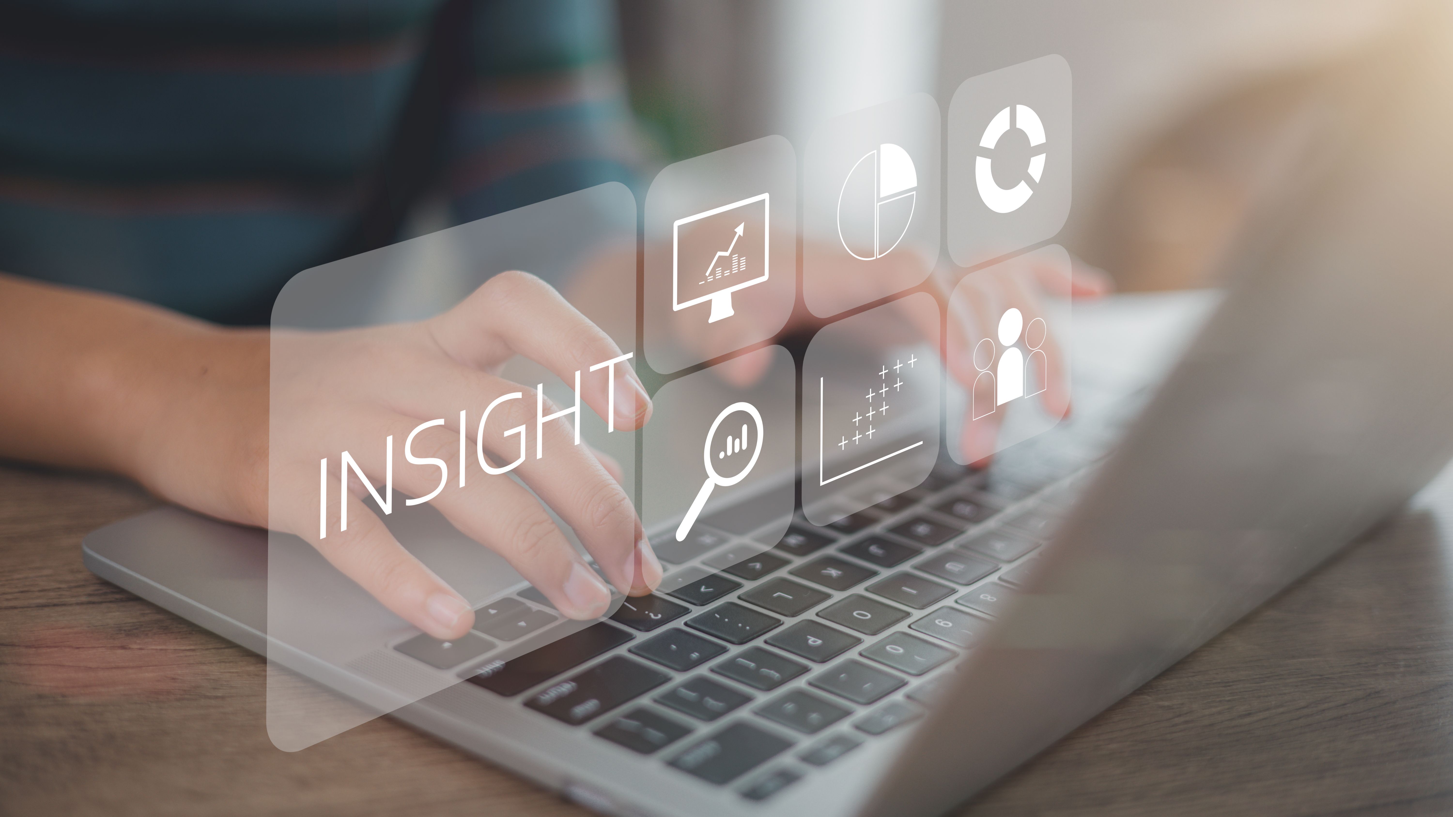 customer data insights