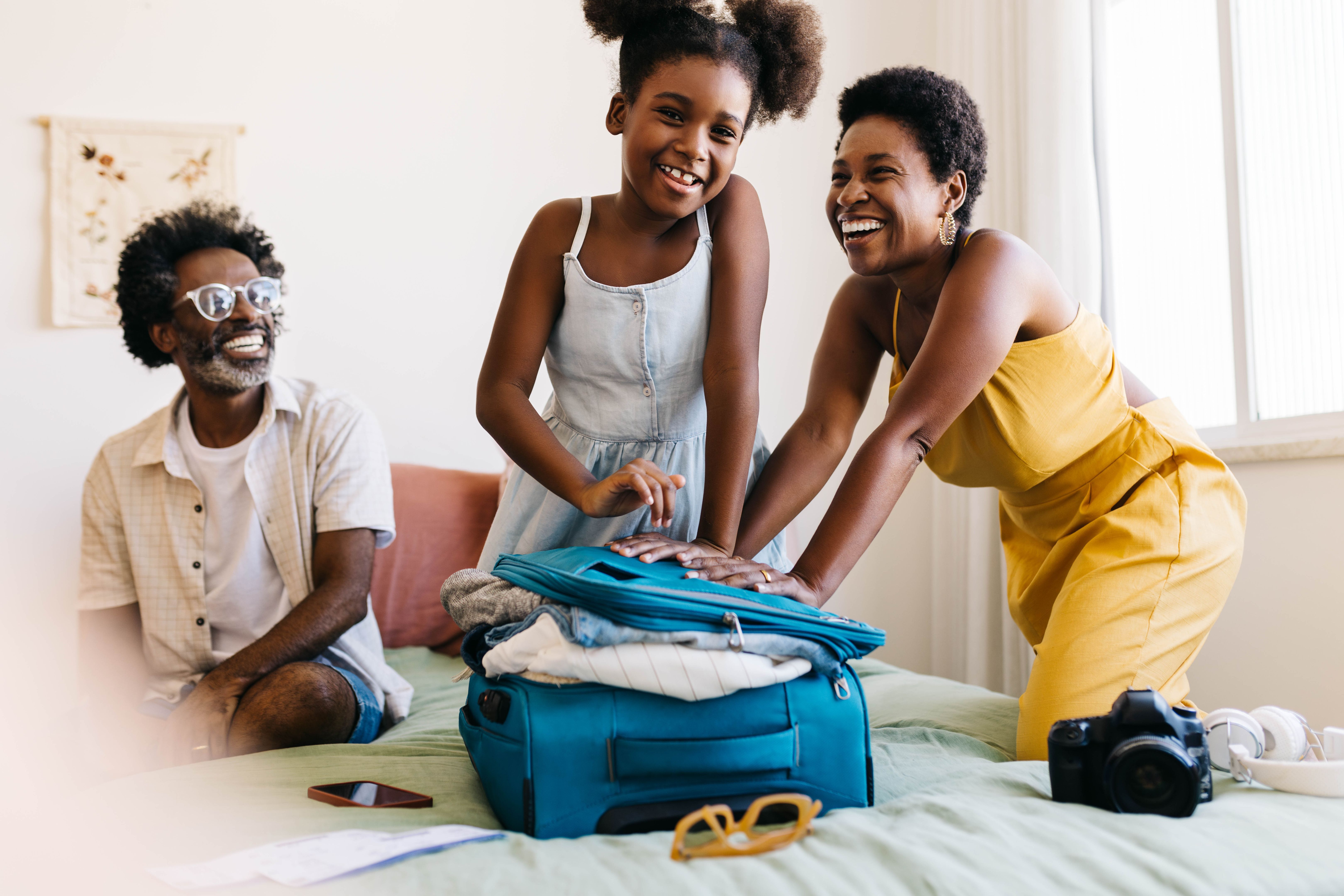 pet travel essentials