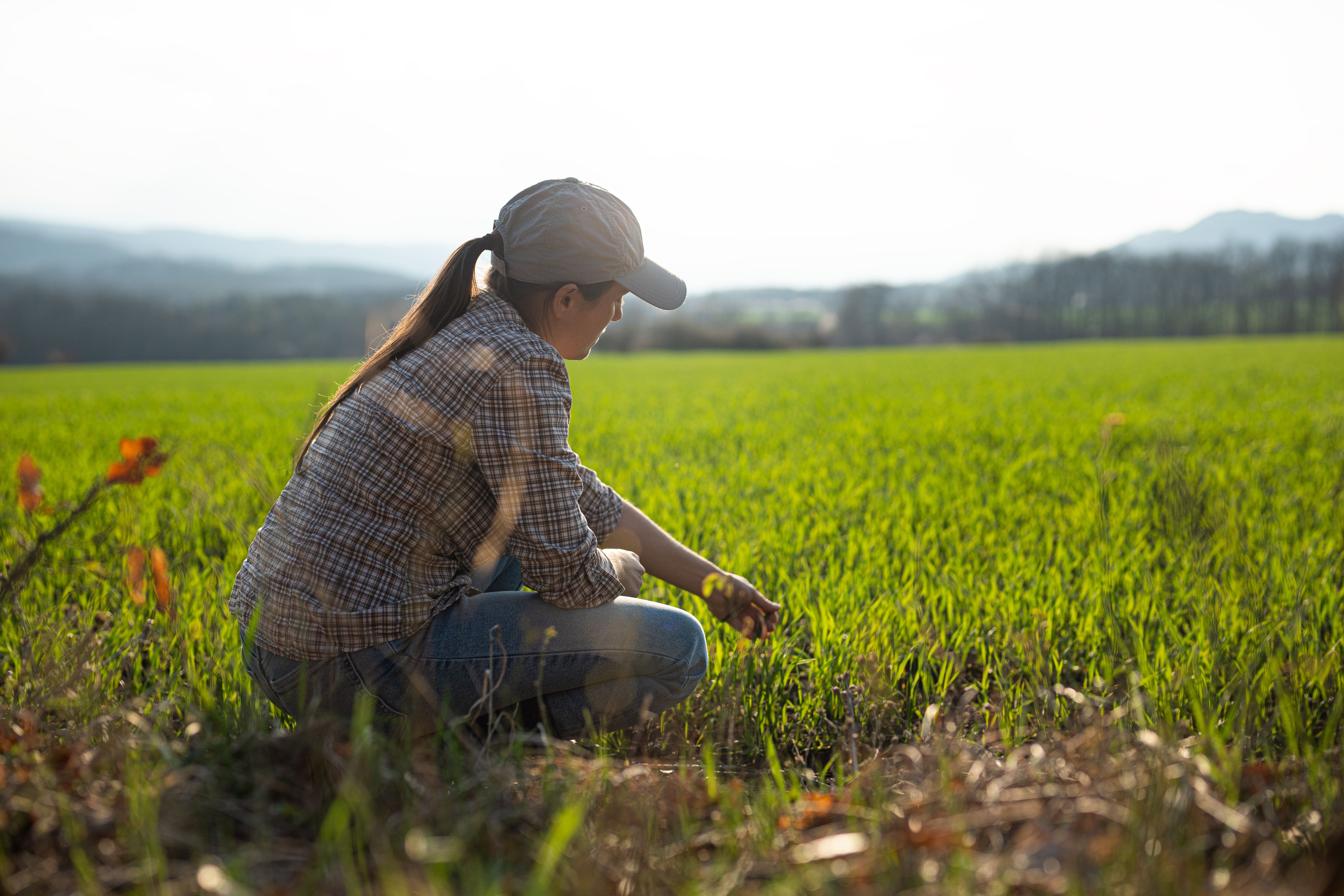 guaranteed pest control