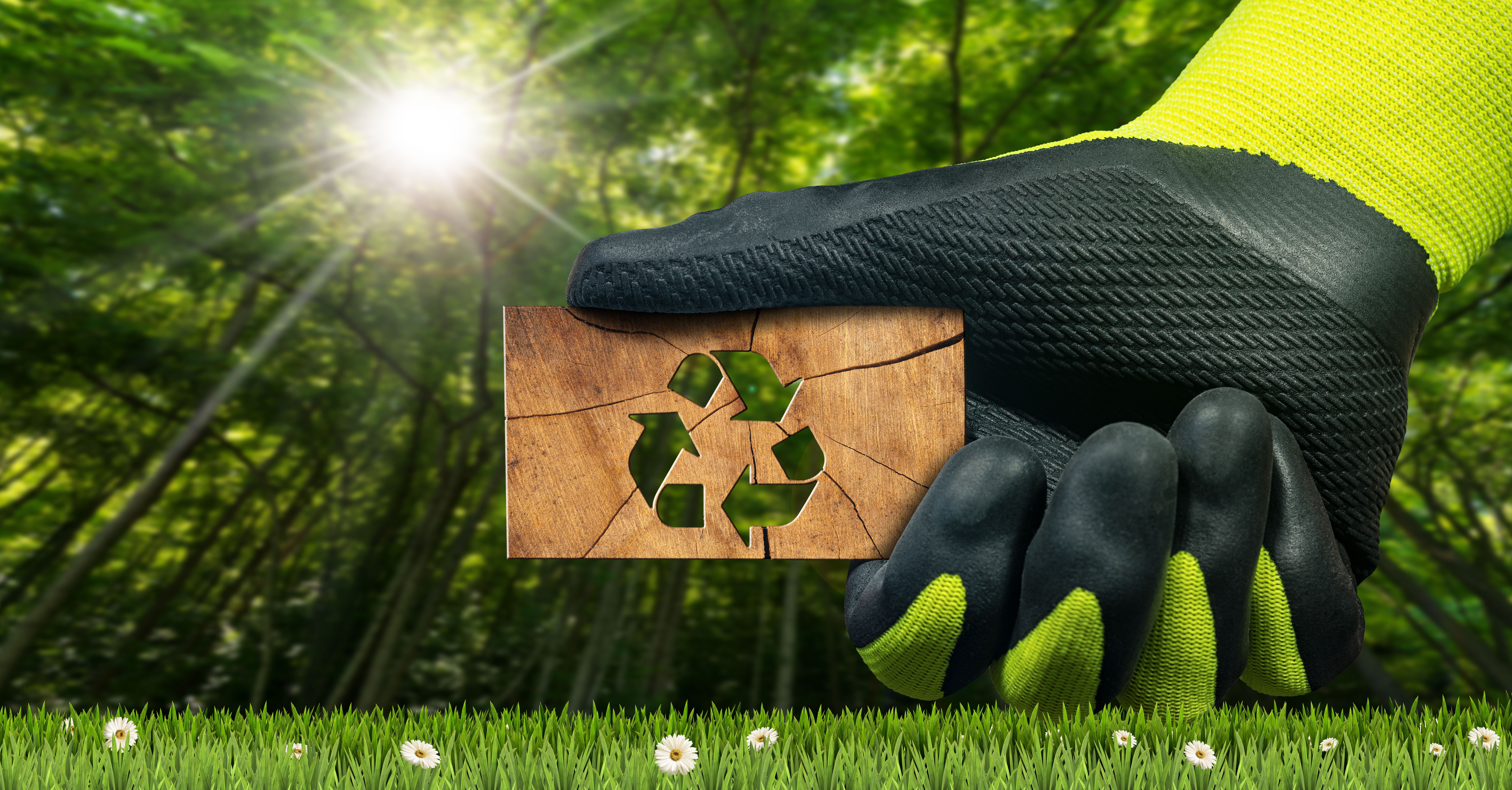 eco friendly carpentry