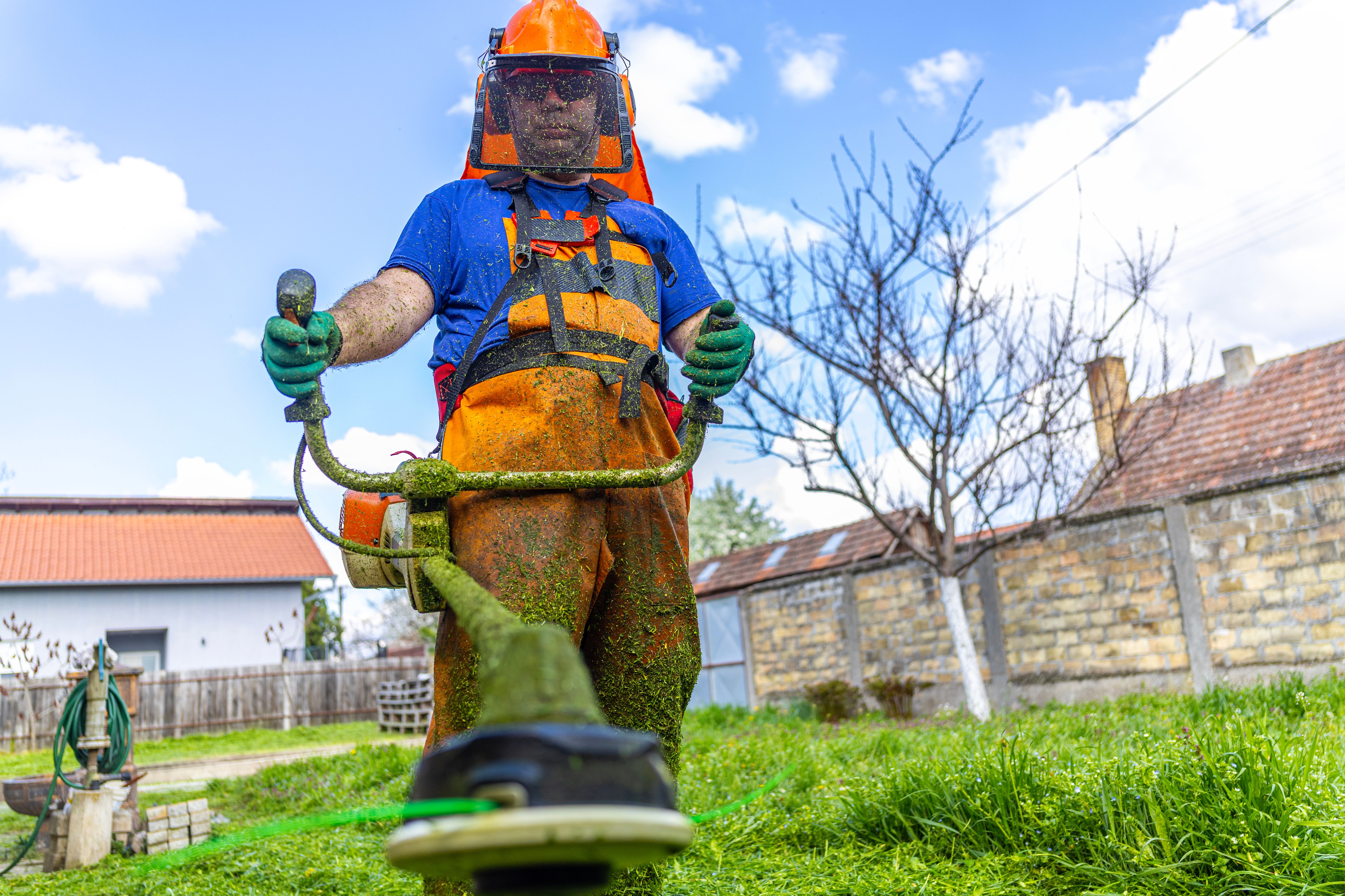 professional lawn care