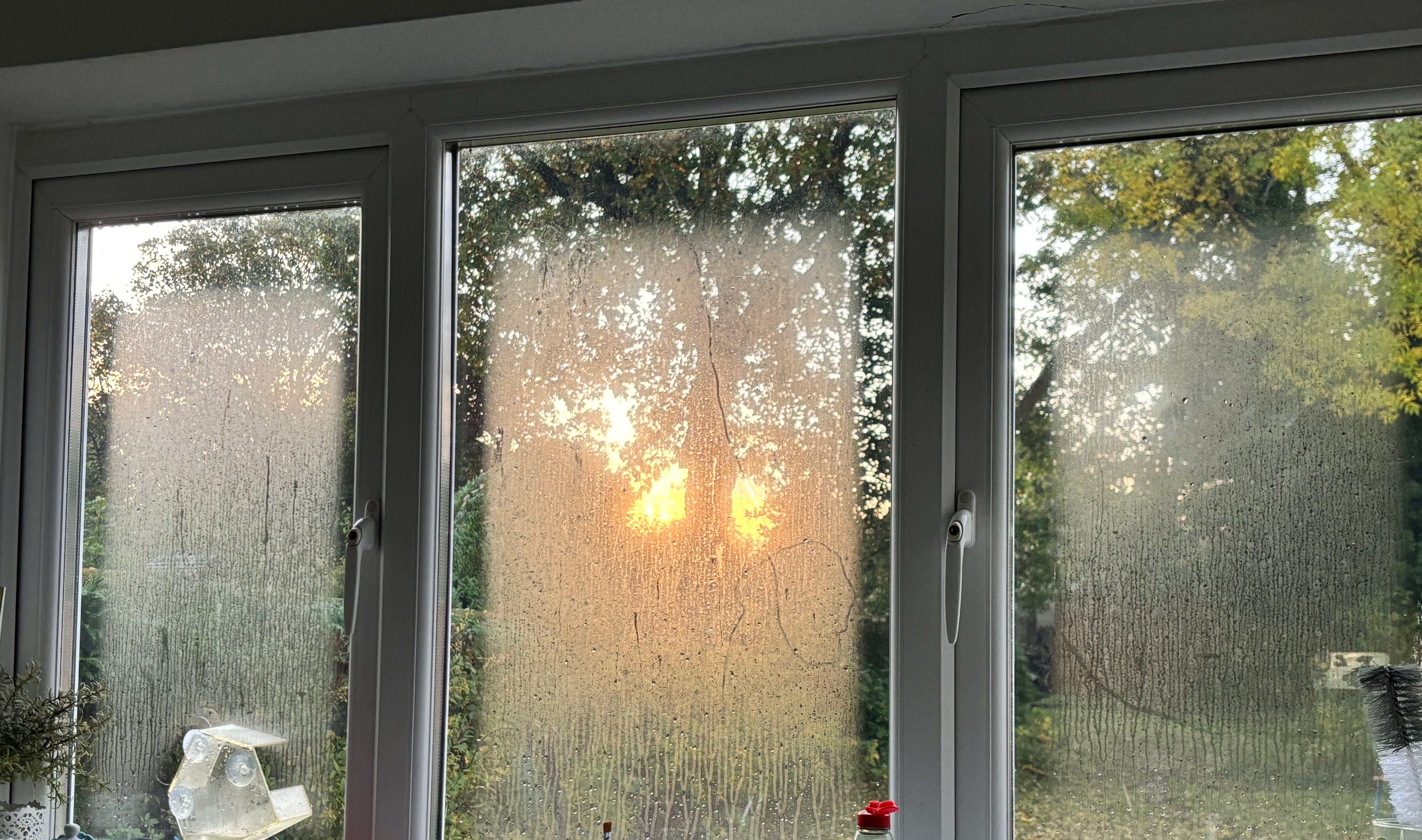 condensation on windows