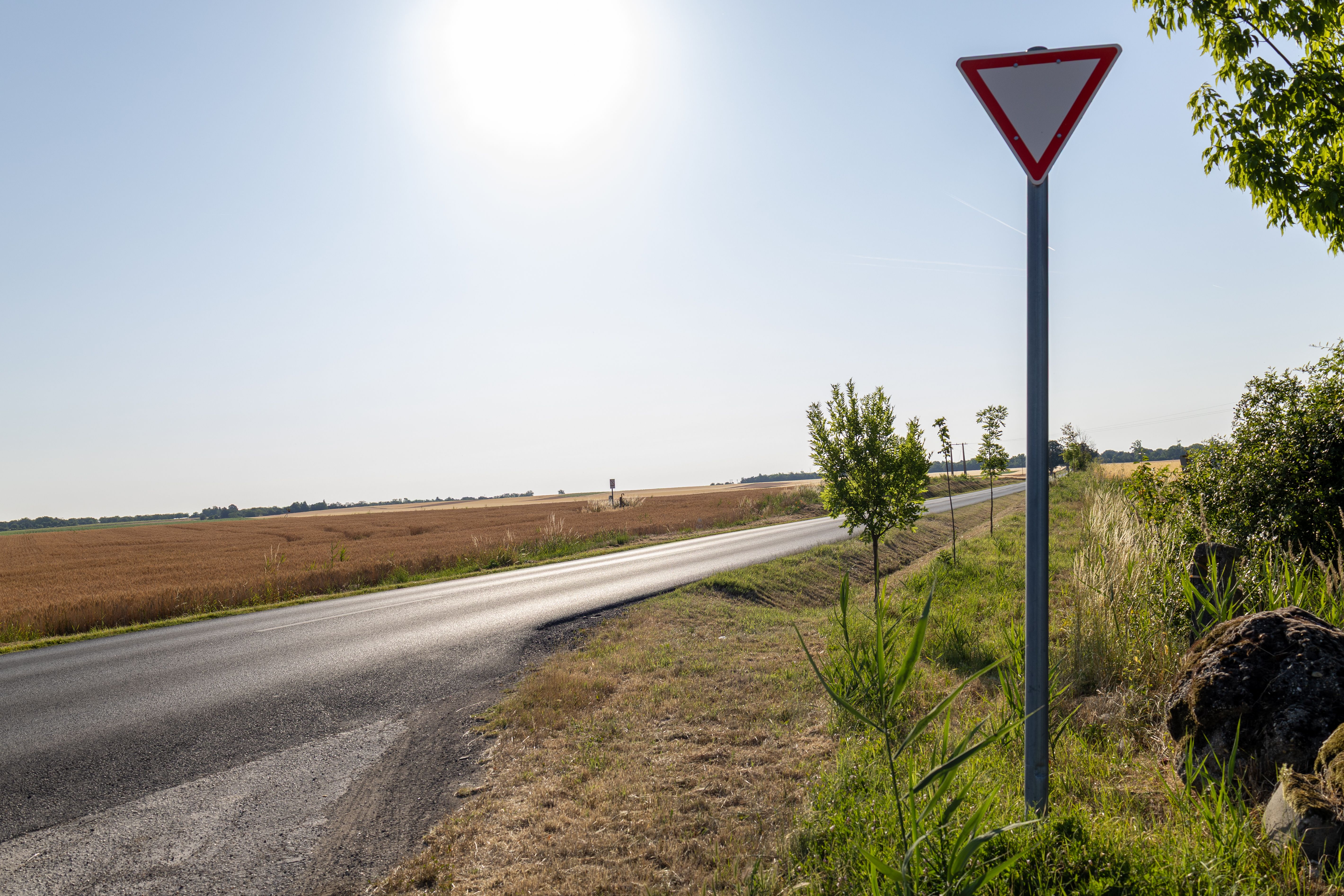 yield farming