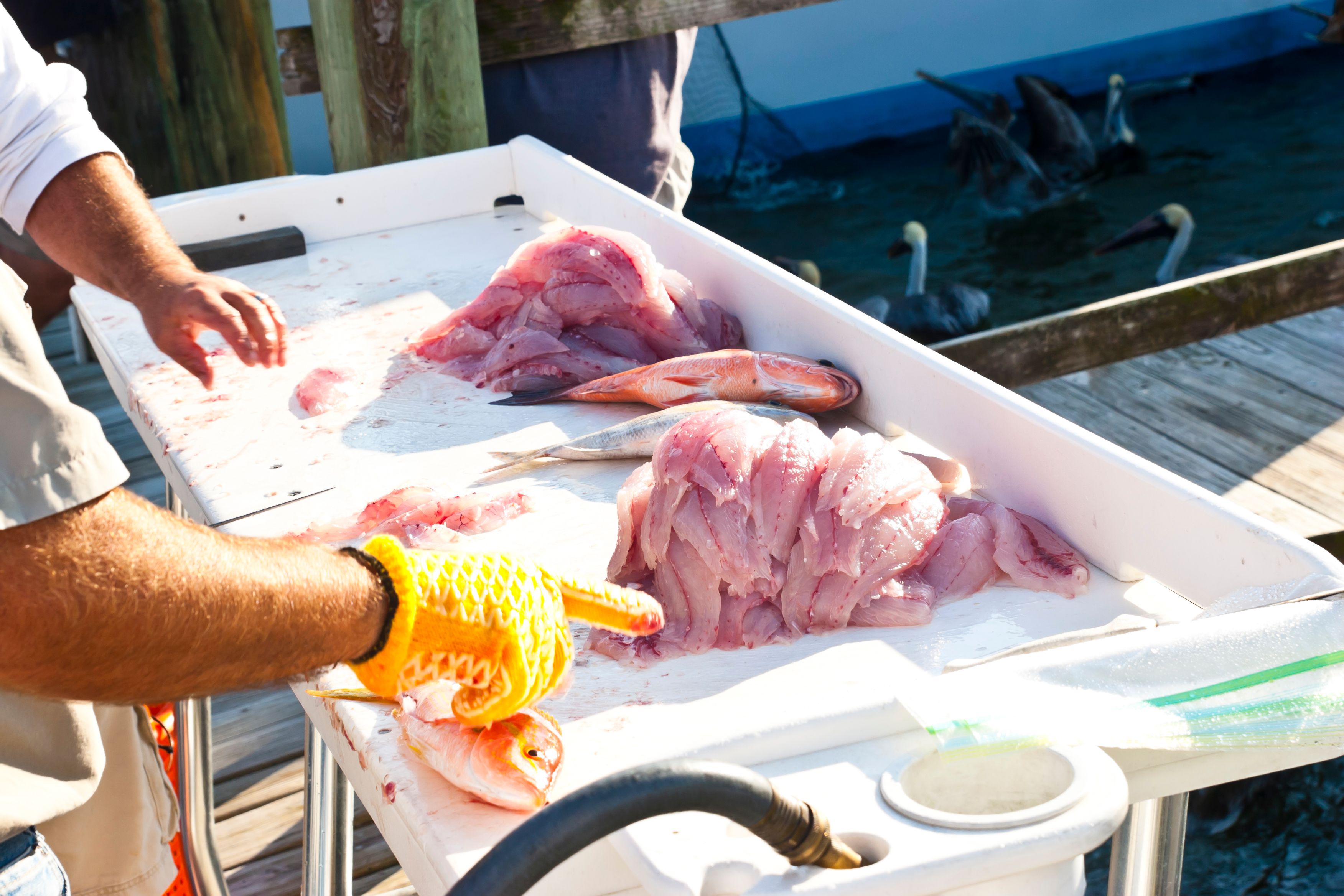 portable filleting table