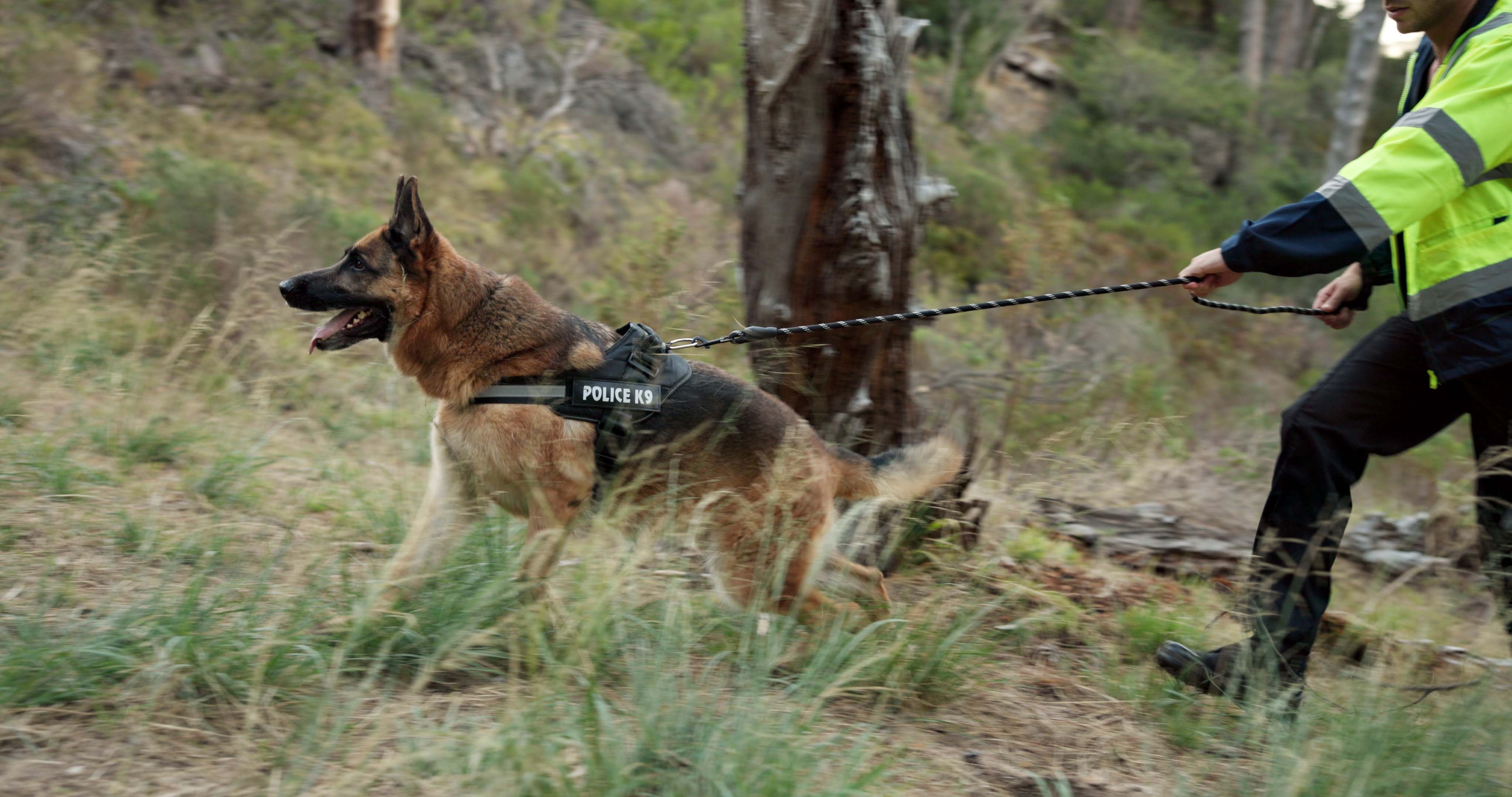 safety training