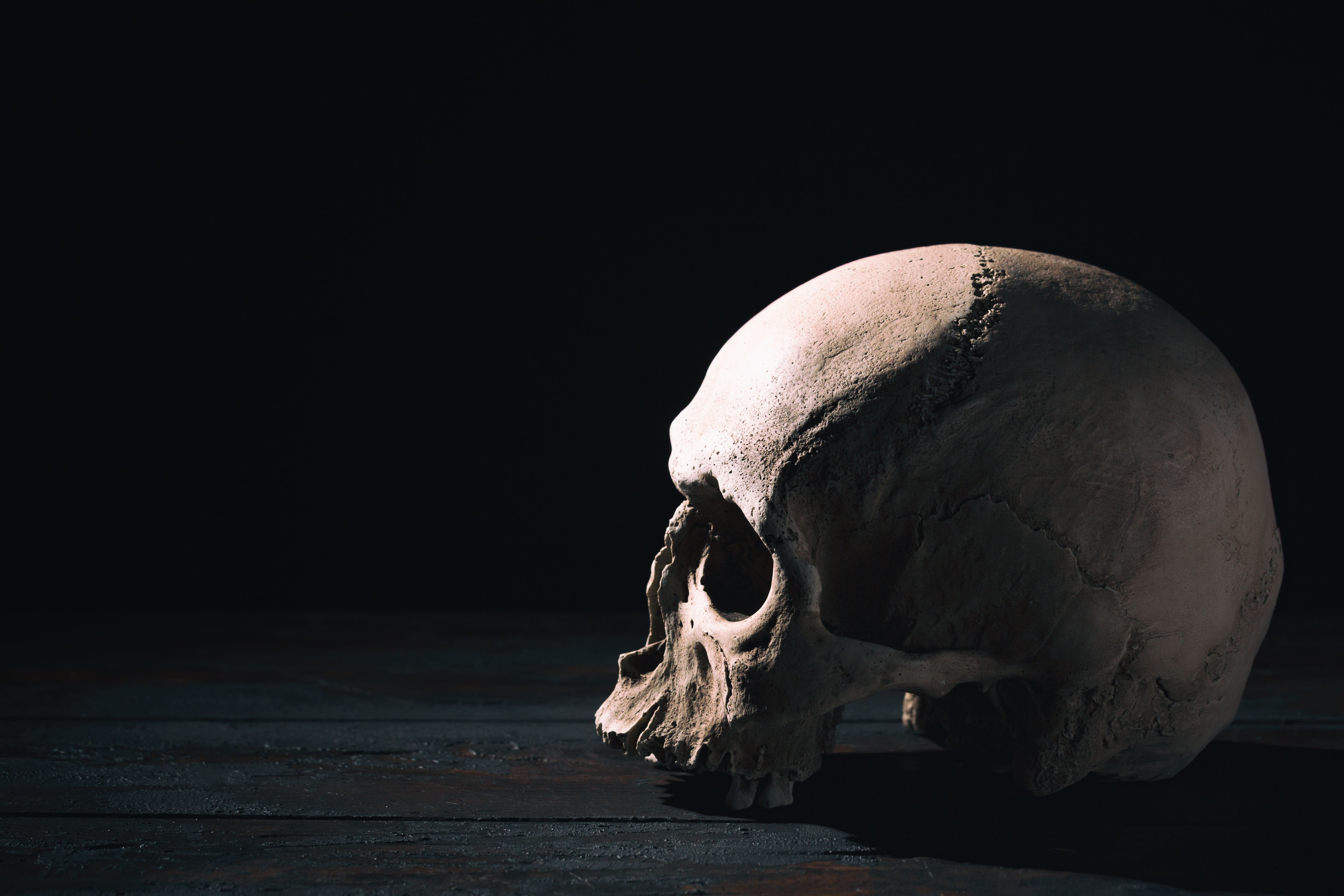 Old human skull close up against black background Old human skull close up against black background