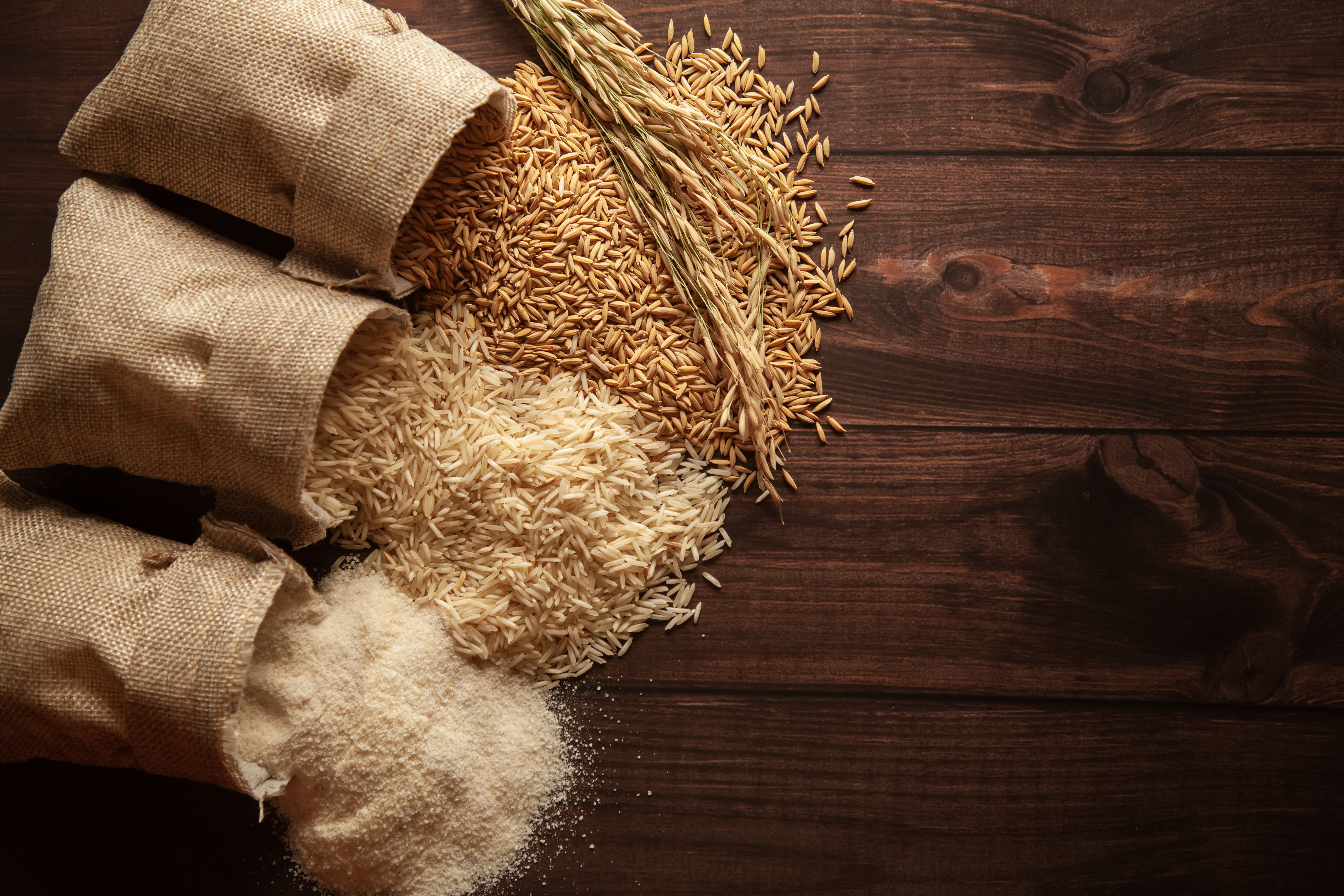 Jai Bamleshwari Group | Premium Indian Rice Exporters