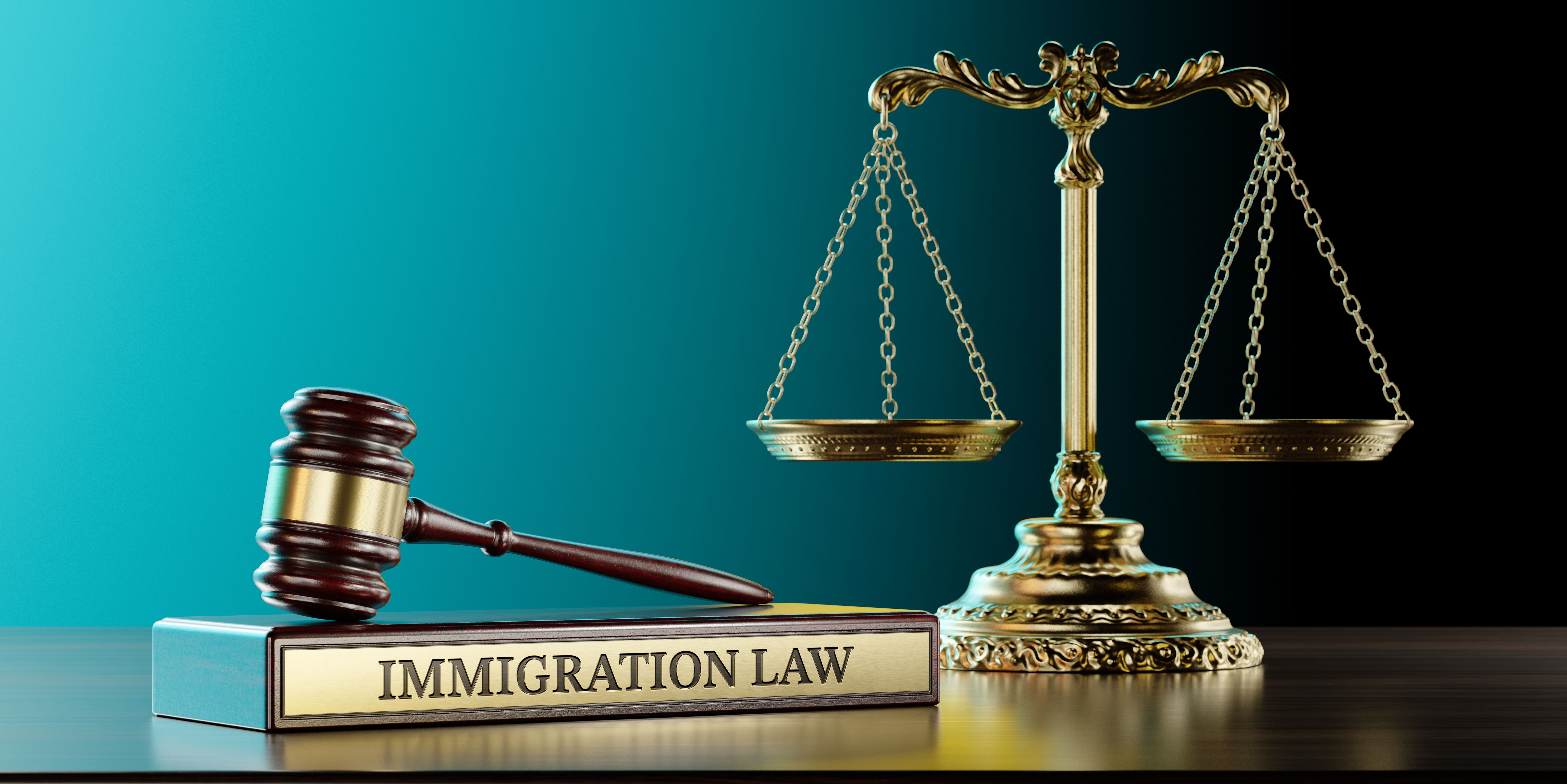 immigration lawyer