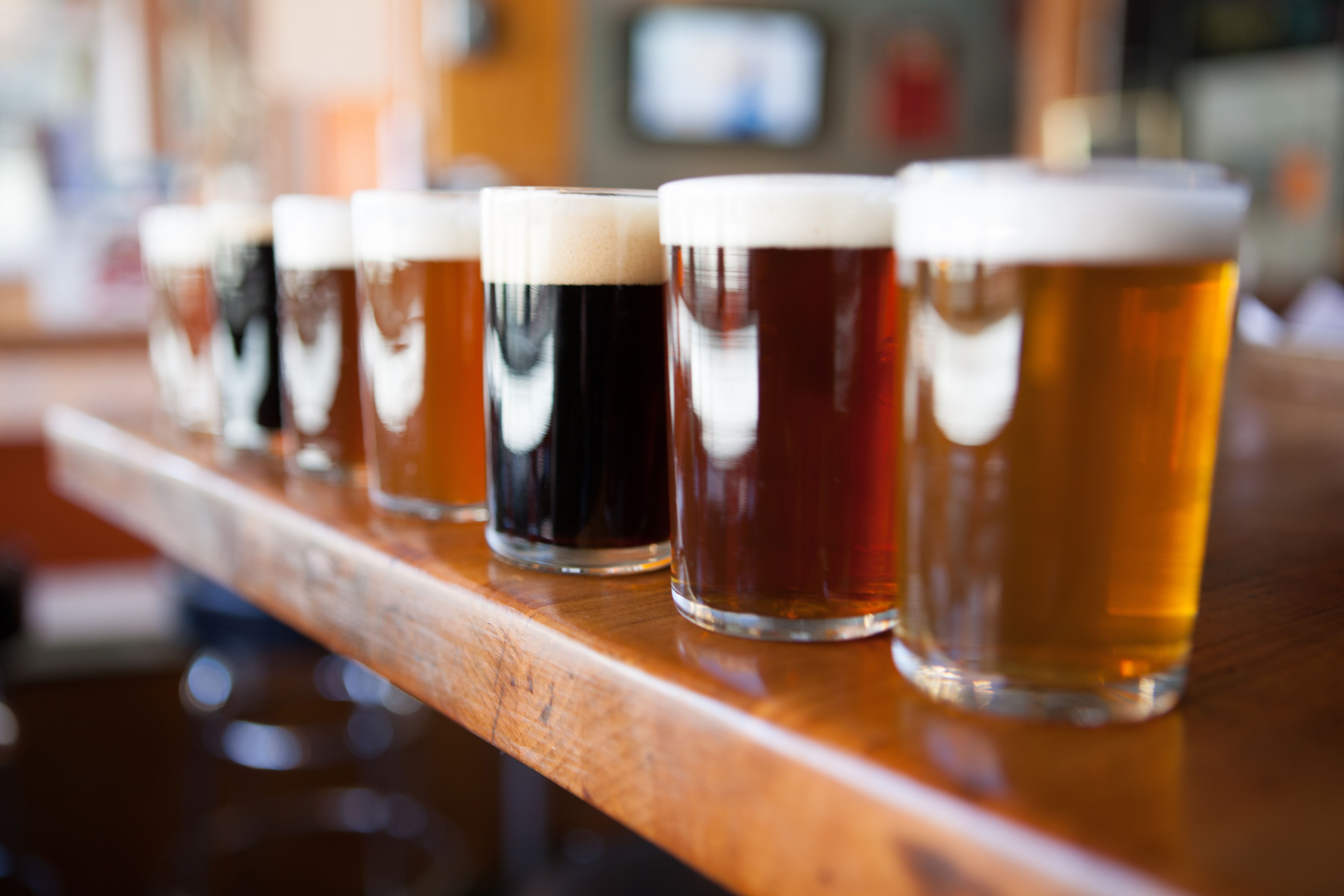 beer tasting
