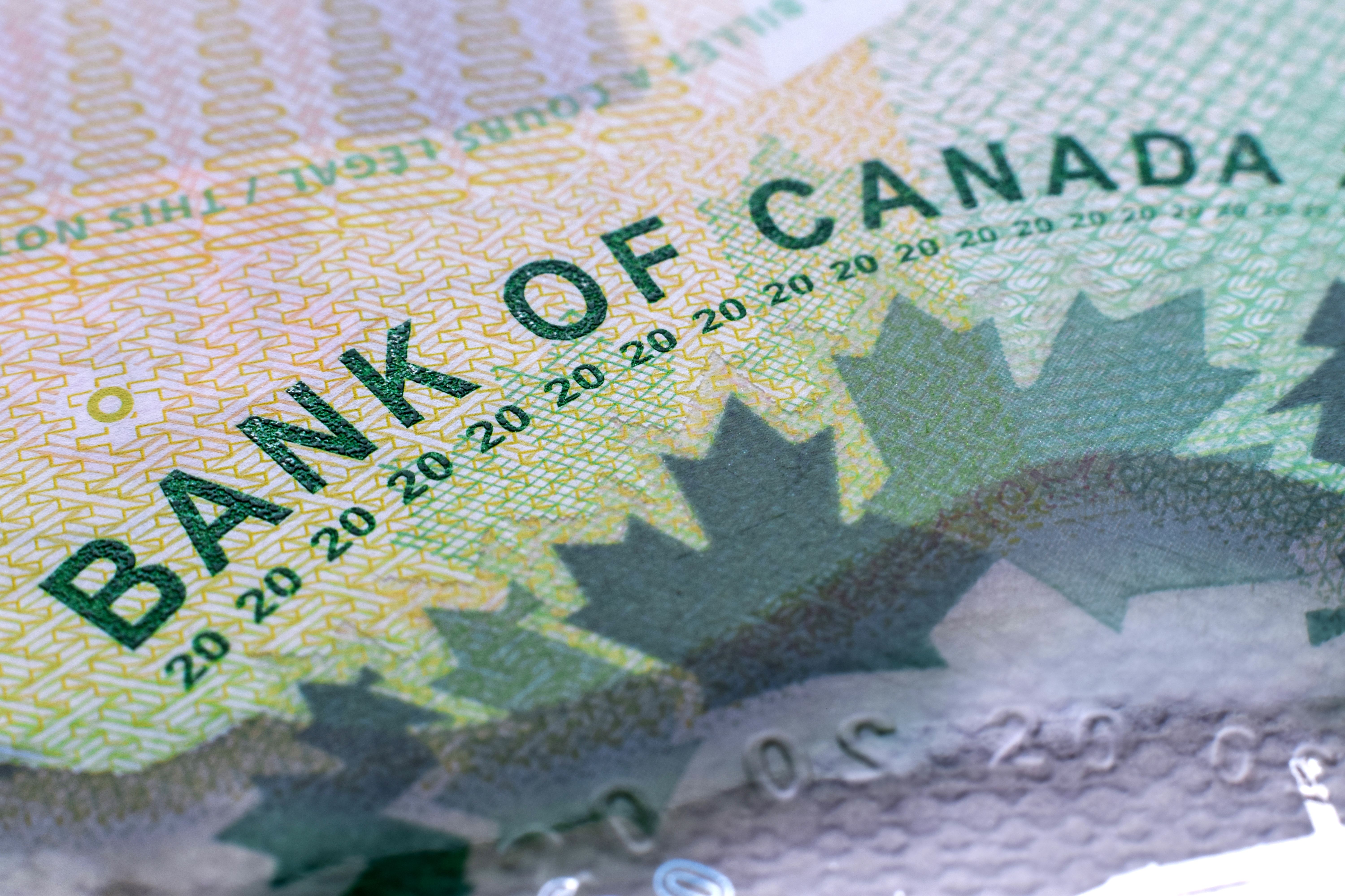 Closeup macro Bank of Canada words on a green 20 dollar Canadian money bill Closeup macro Bank of Canada words on a green 20 dollar Canadian money bill