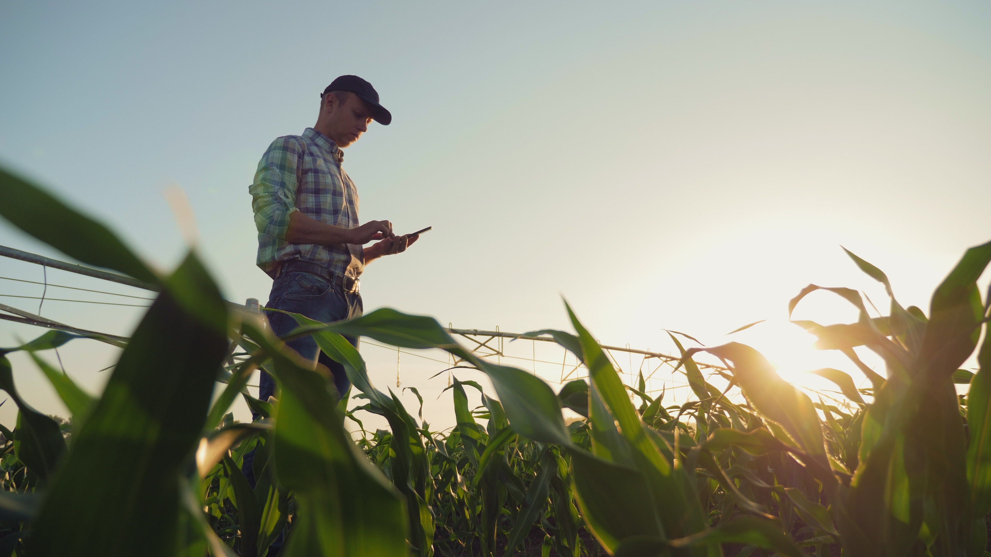 agriculture workforce