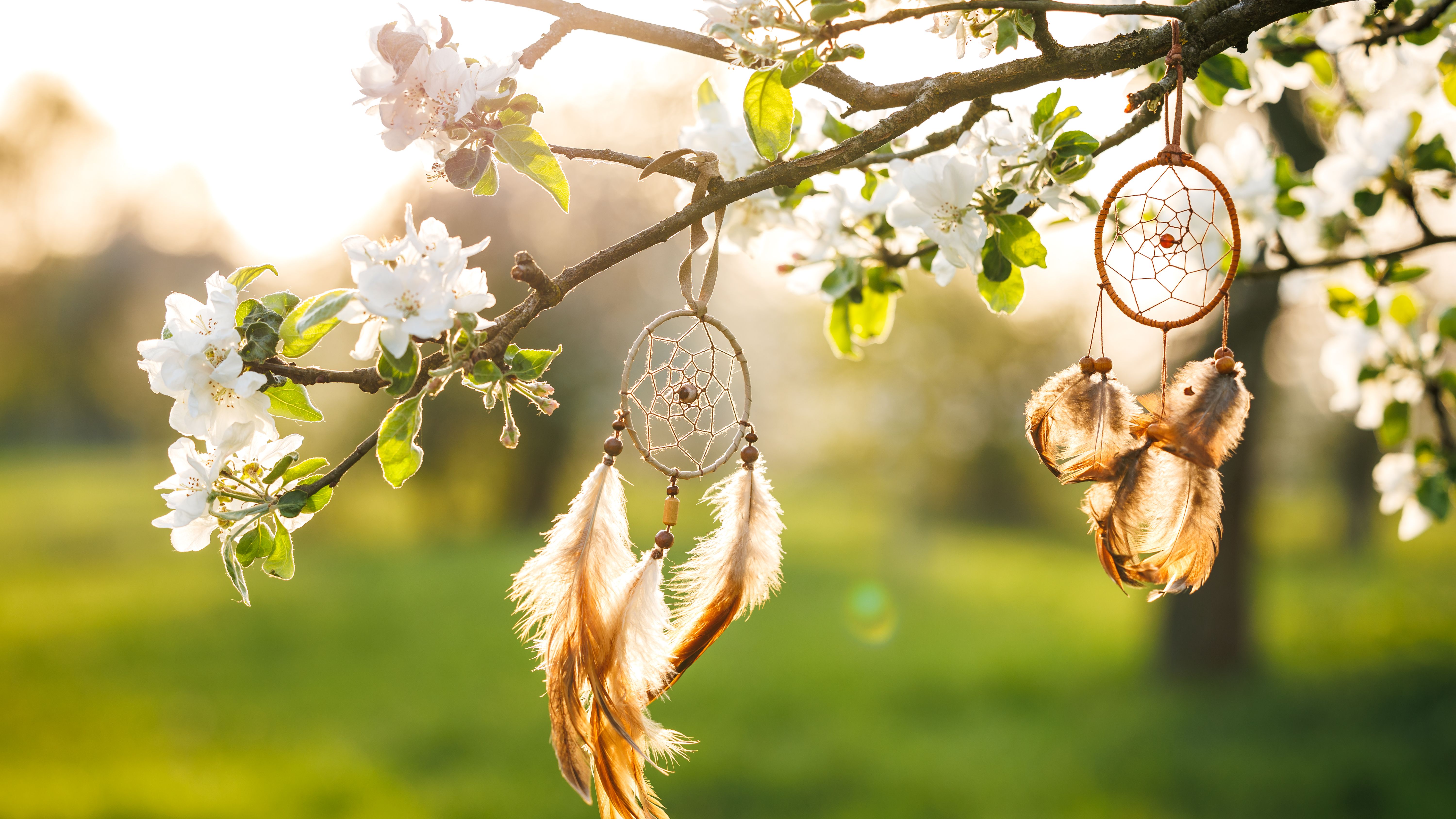 Dreamcatcher hanging on blooming tree in wind in spring