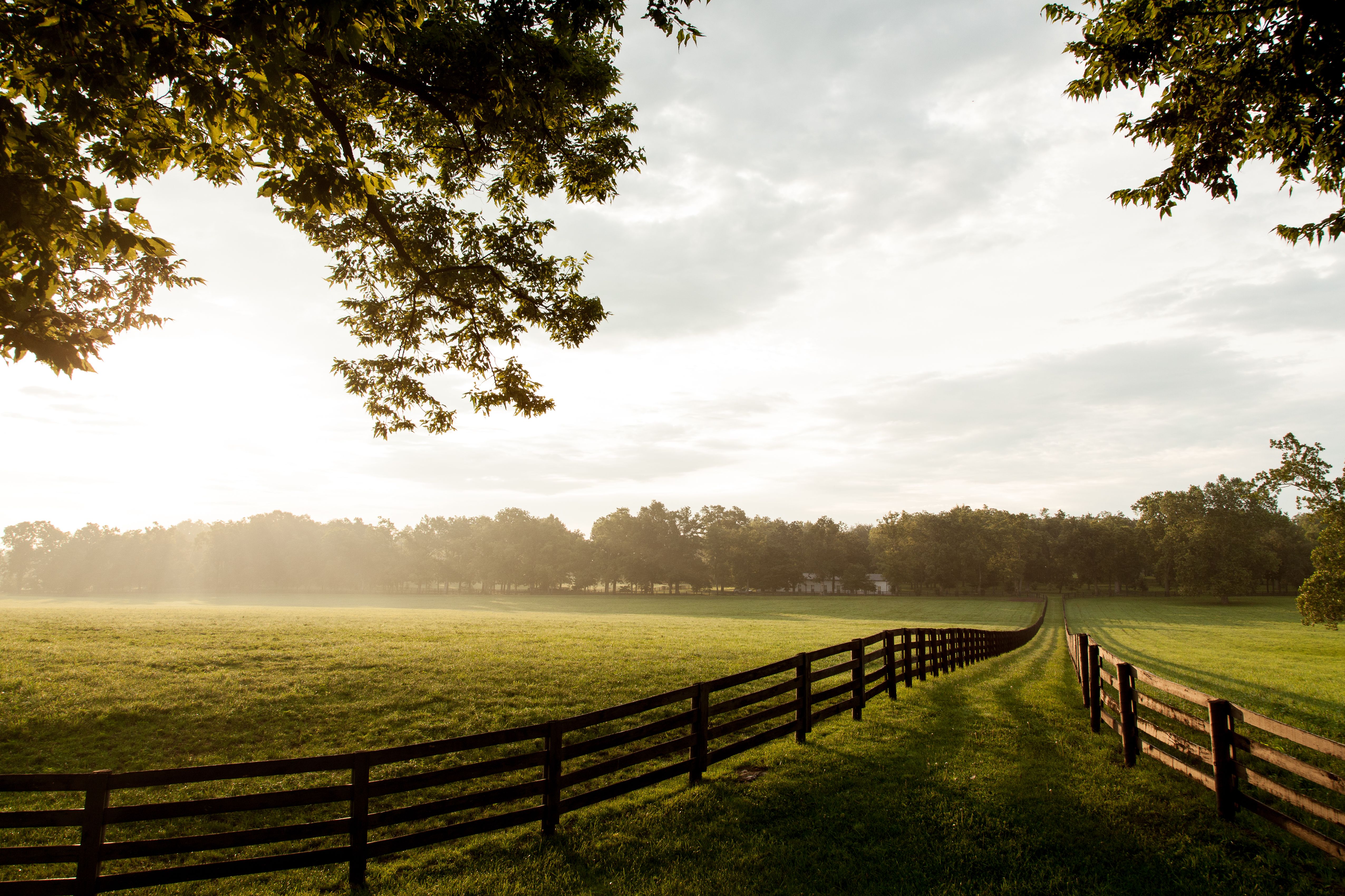 fencing landscape