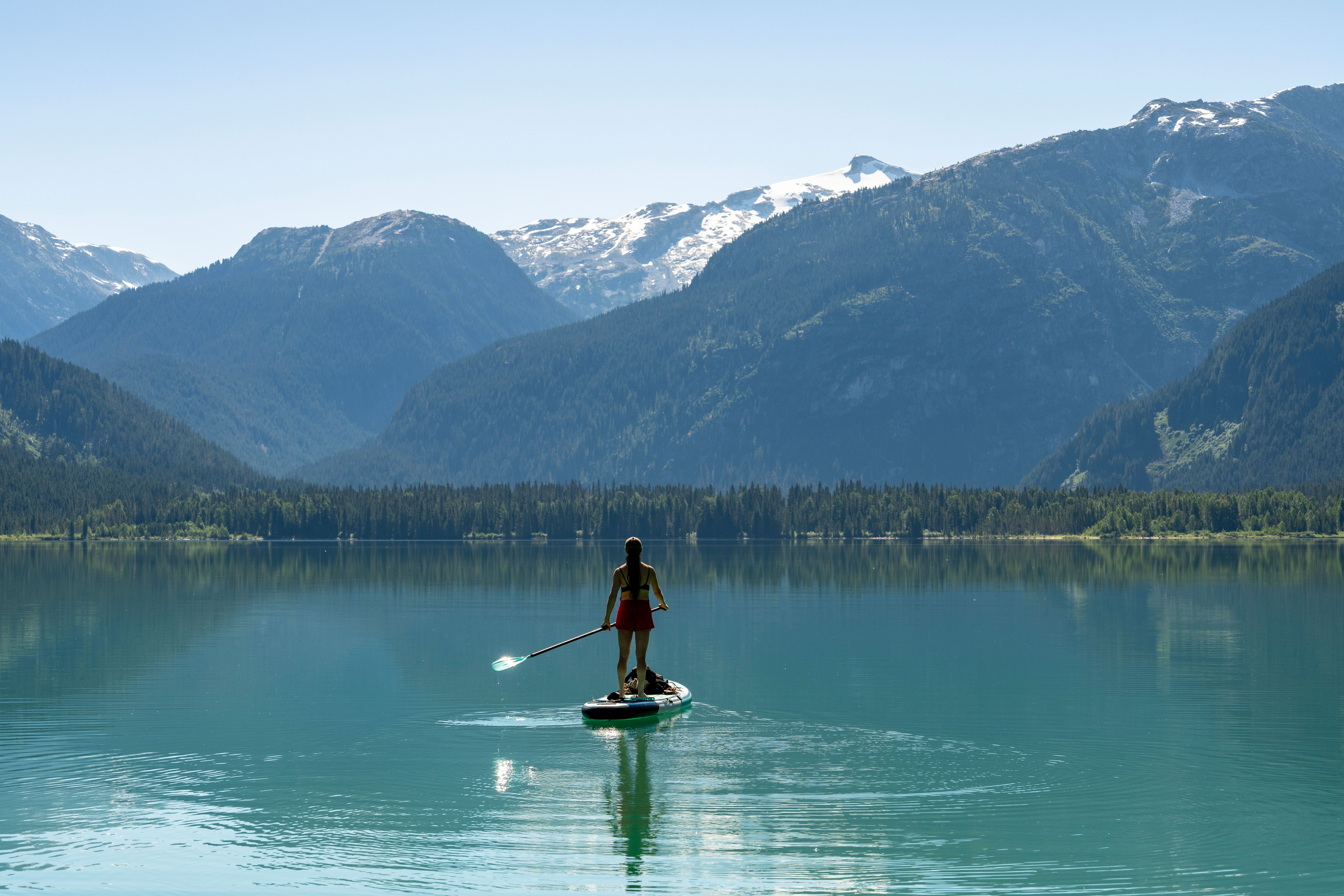 conservation efforts