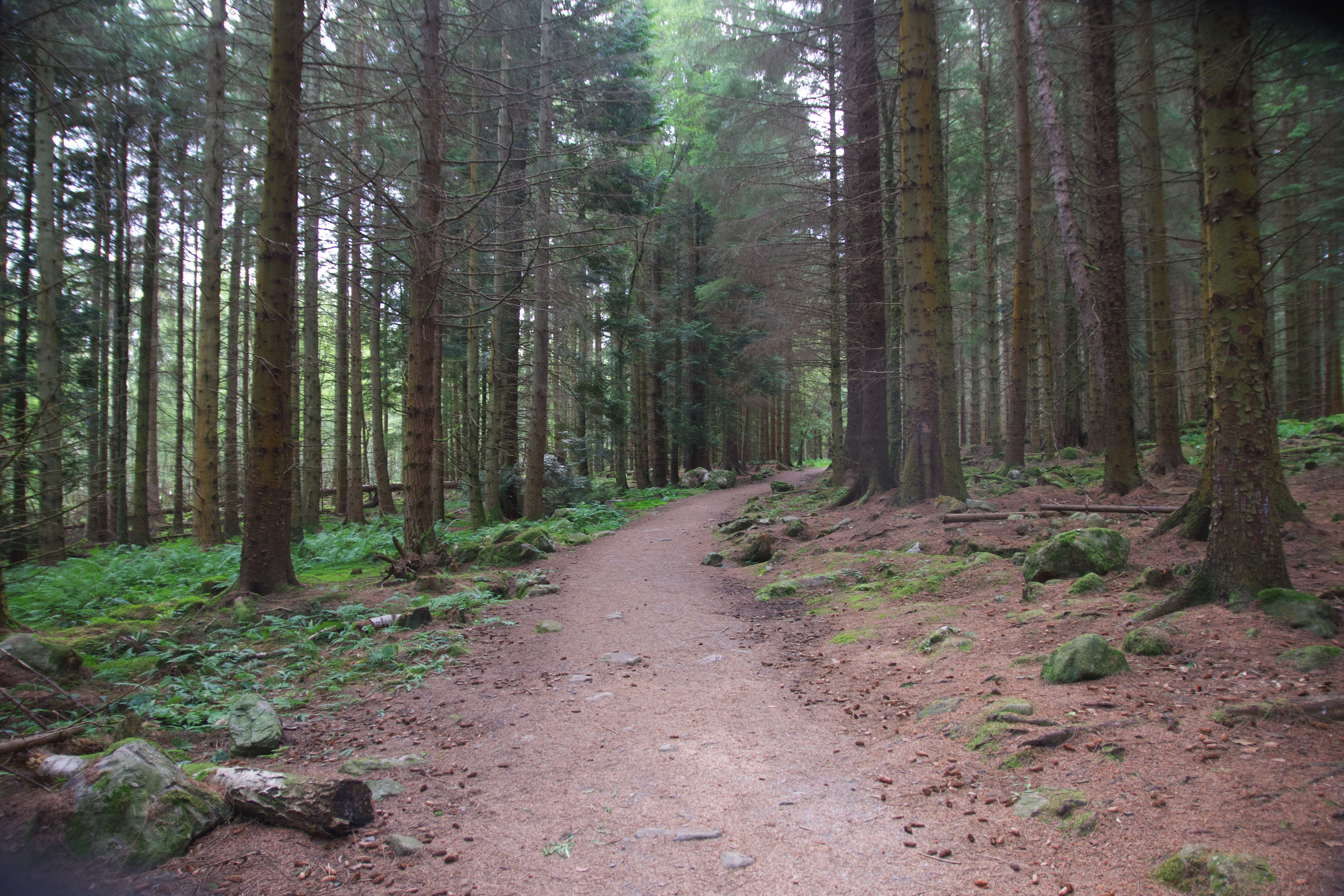 royal deeside scotland