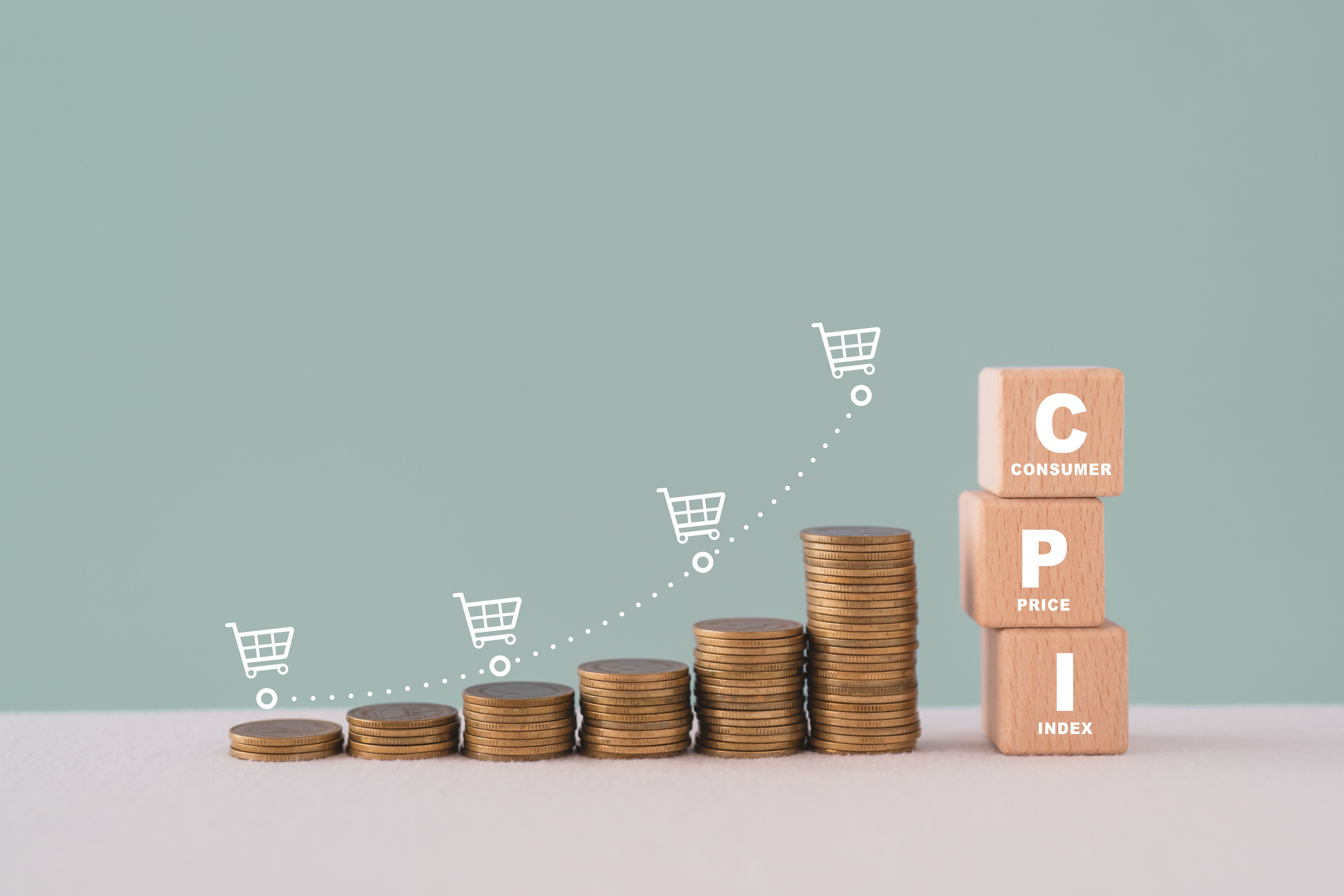 consumer price index