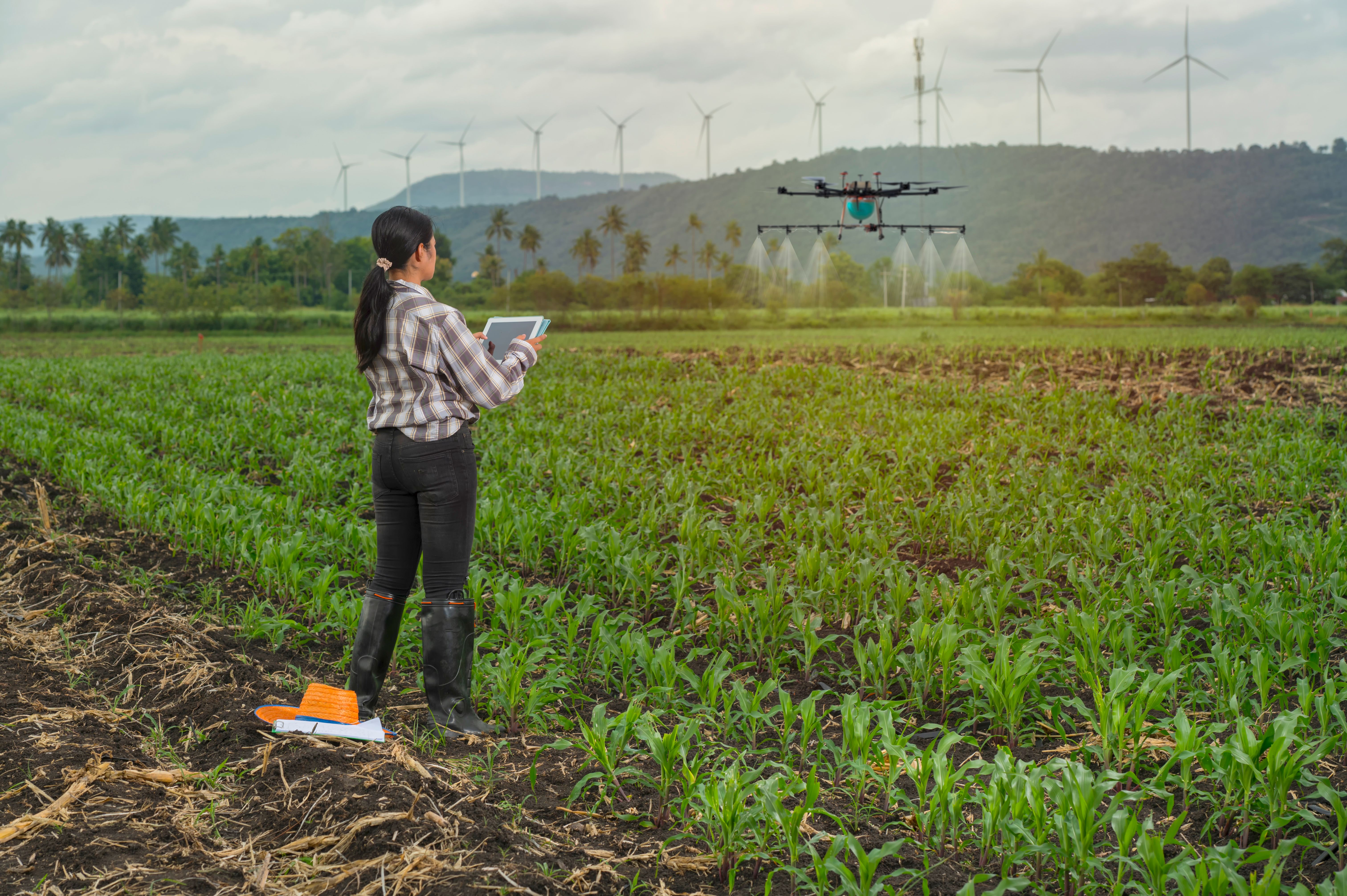 drone inspection