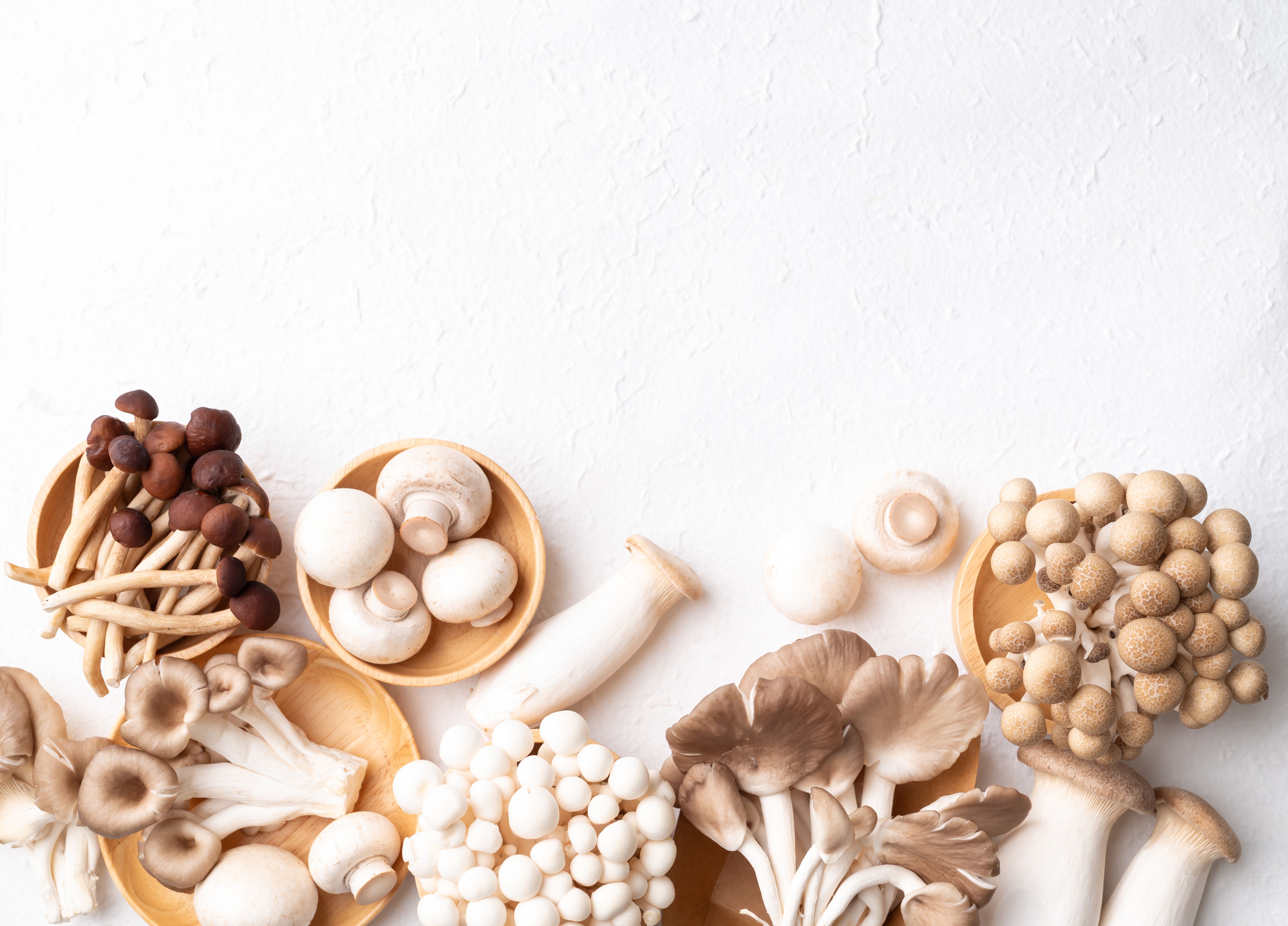 mushroom supplements